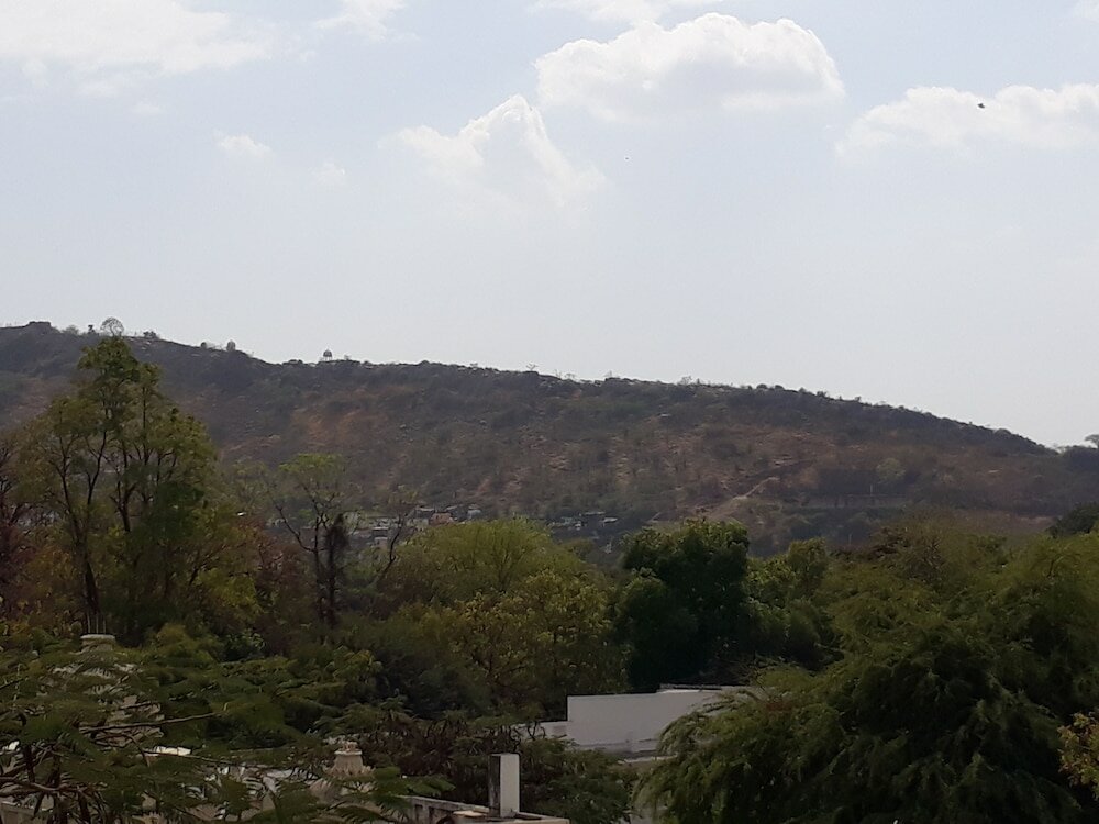 Фото Hotel Padmini Palace