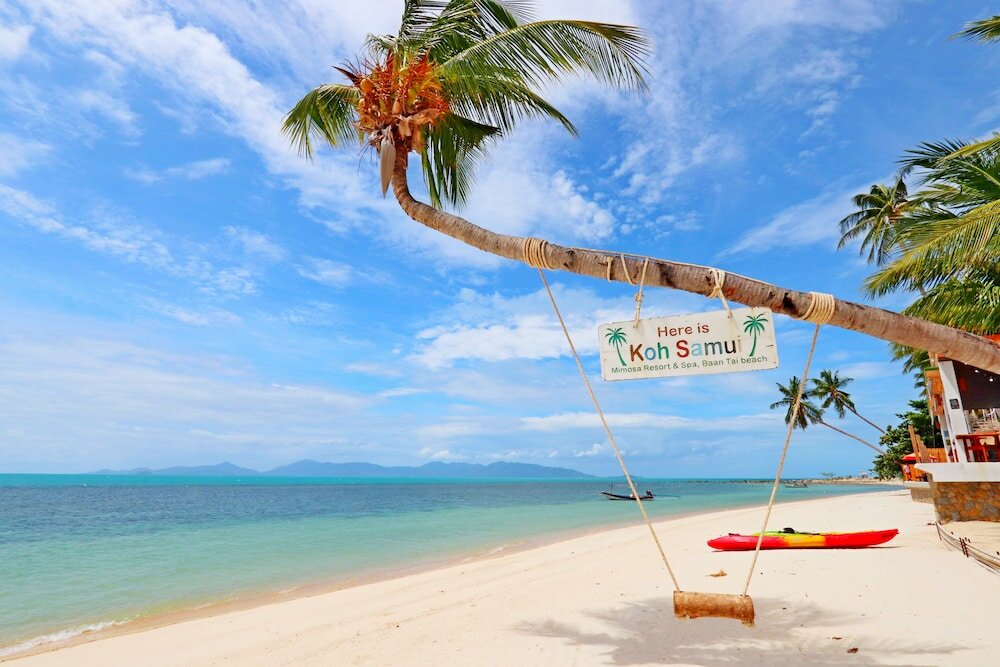 Фото Mimosa Resort & SPA