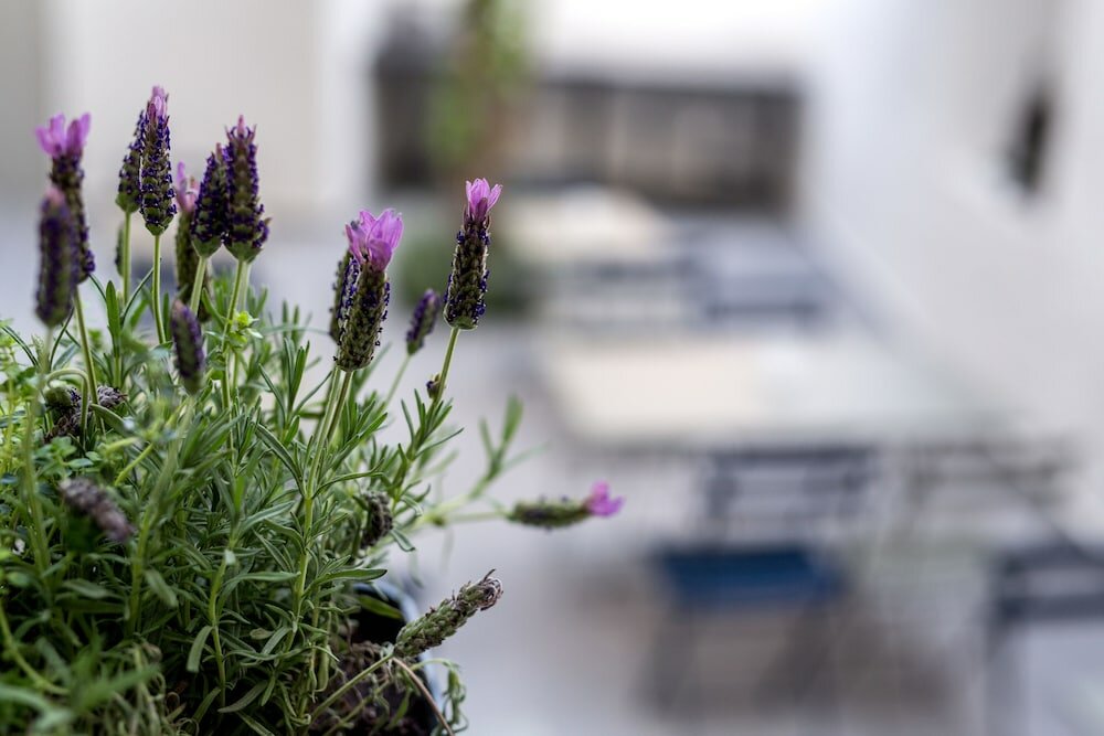 Фото Gambello Luxury Rooms