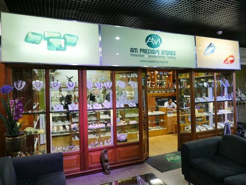 Гостиница Taj Mahal Continental Hotel в Штате Амазонас