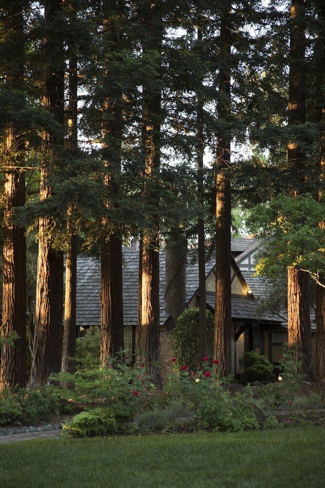 Фото Harvest Inn