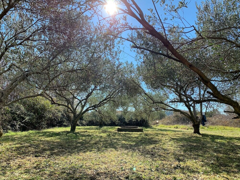 Фото Apartments Enida