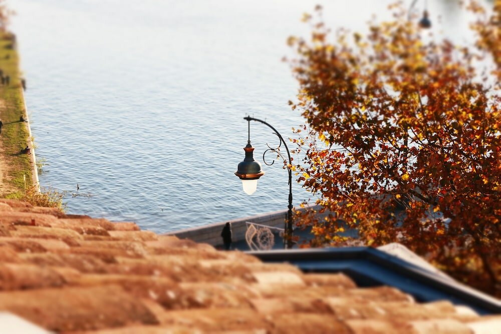 Фото Hôtel des Beaux Arts