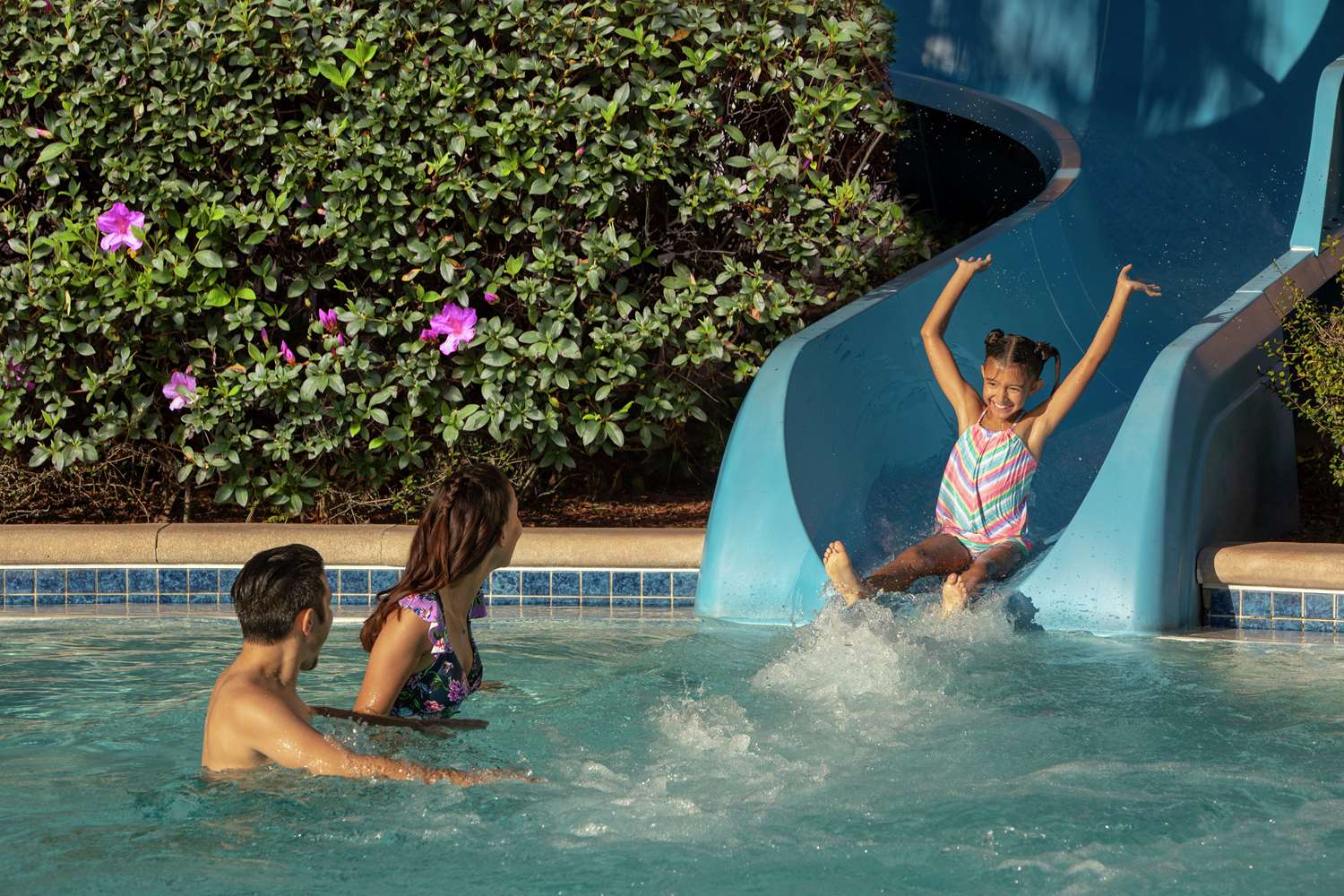 Фото Hilton Orlando