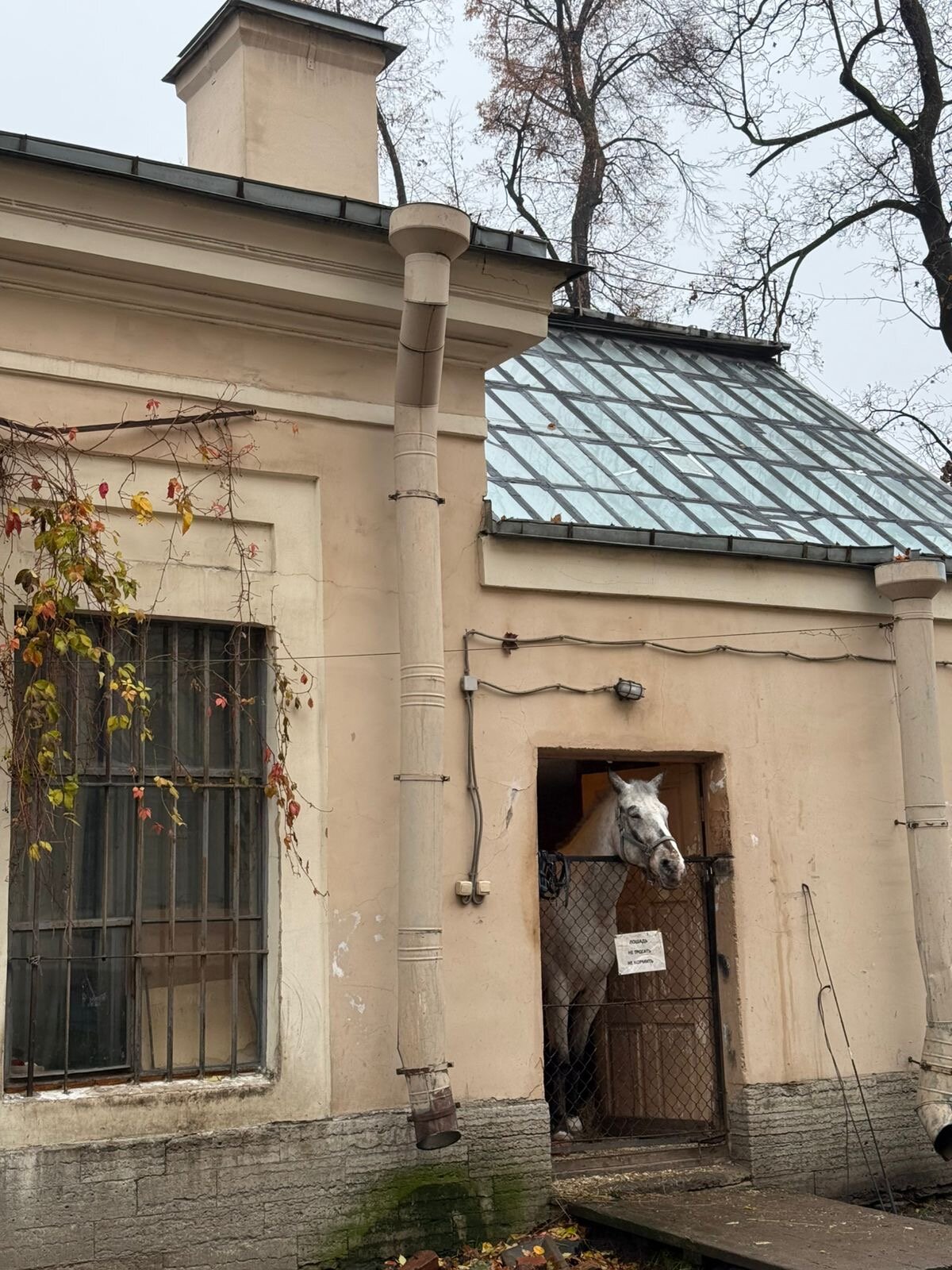 Фото Hotel Edelweiss