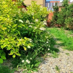 Фото Дискавери