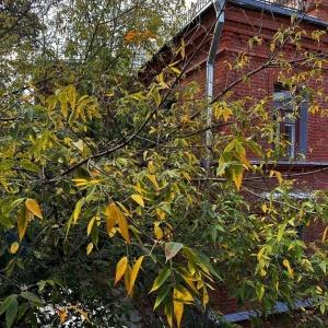 Фото Московье