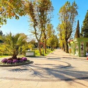 Фото Чайковский