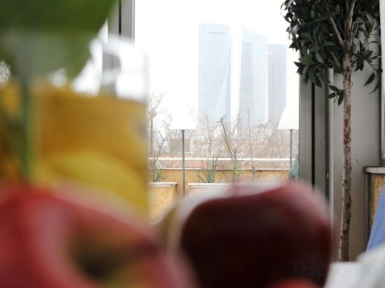 Фото Hotel Villamadrid