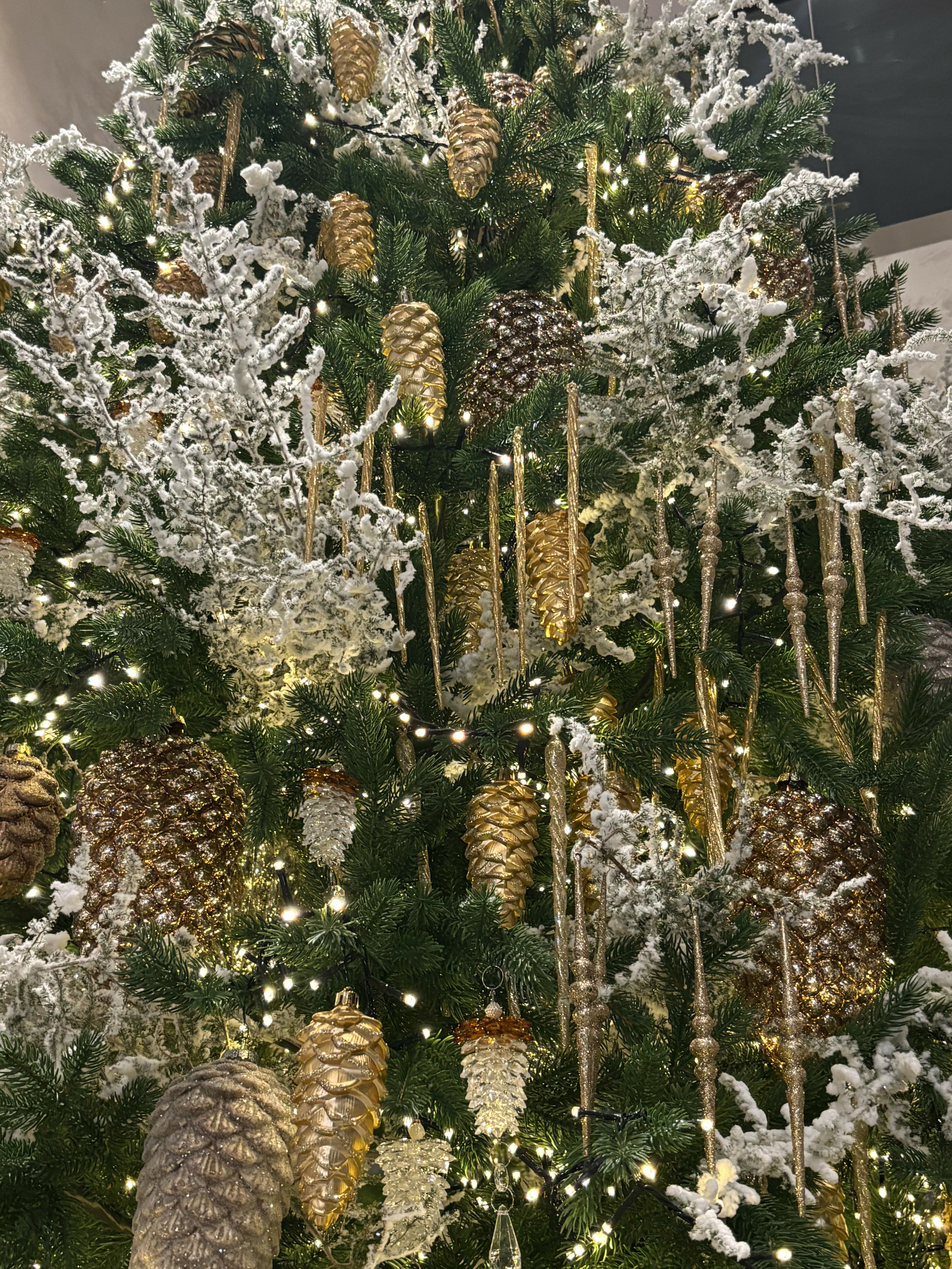 Фото Костас