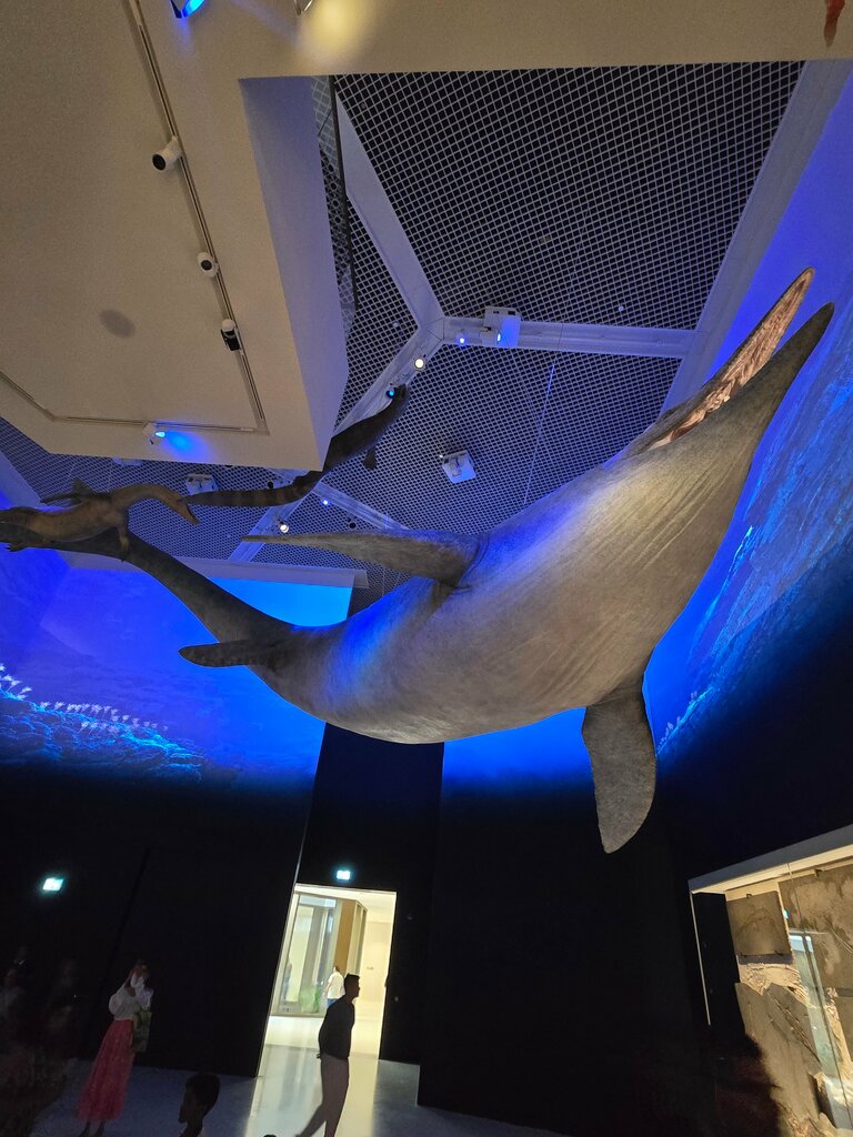 Museum Natural History Museum, Abu Dhabi, photo