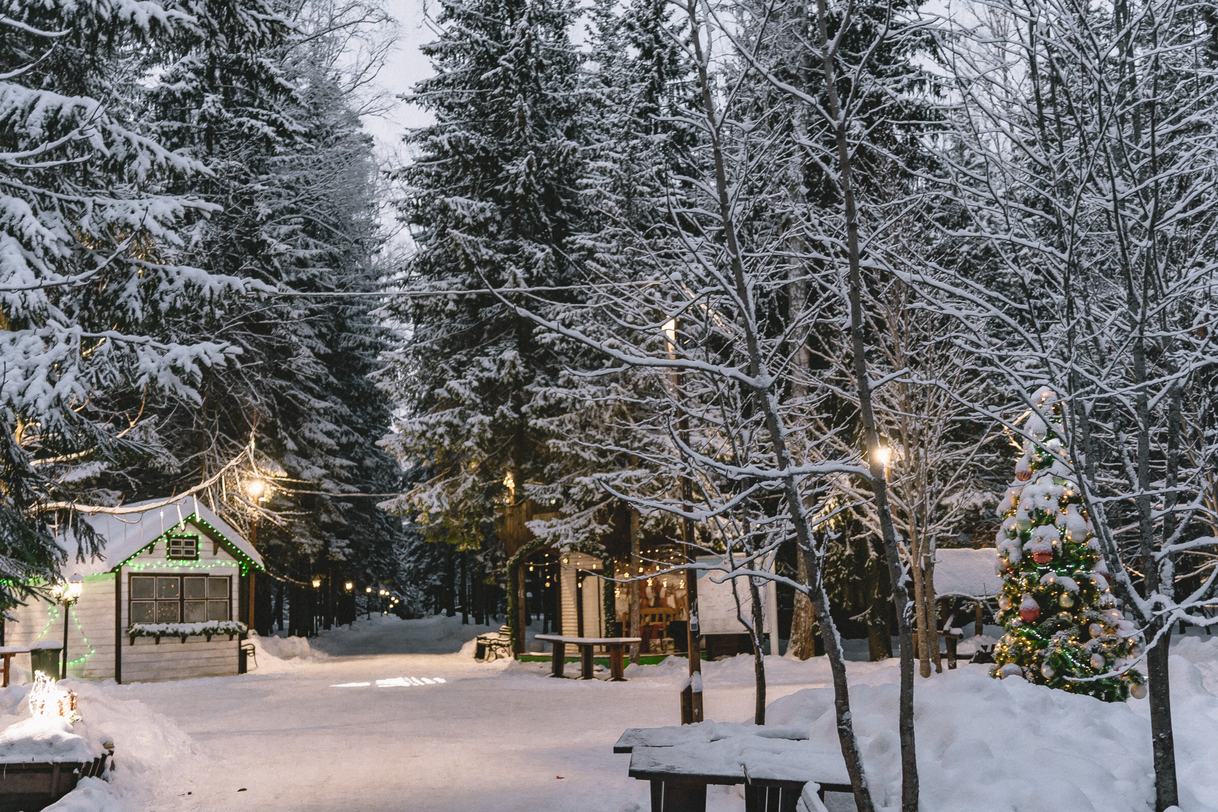 Фото Истра Холидей