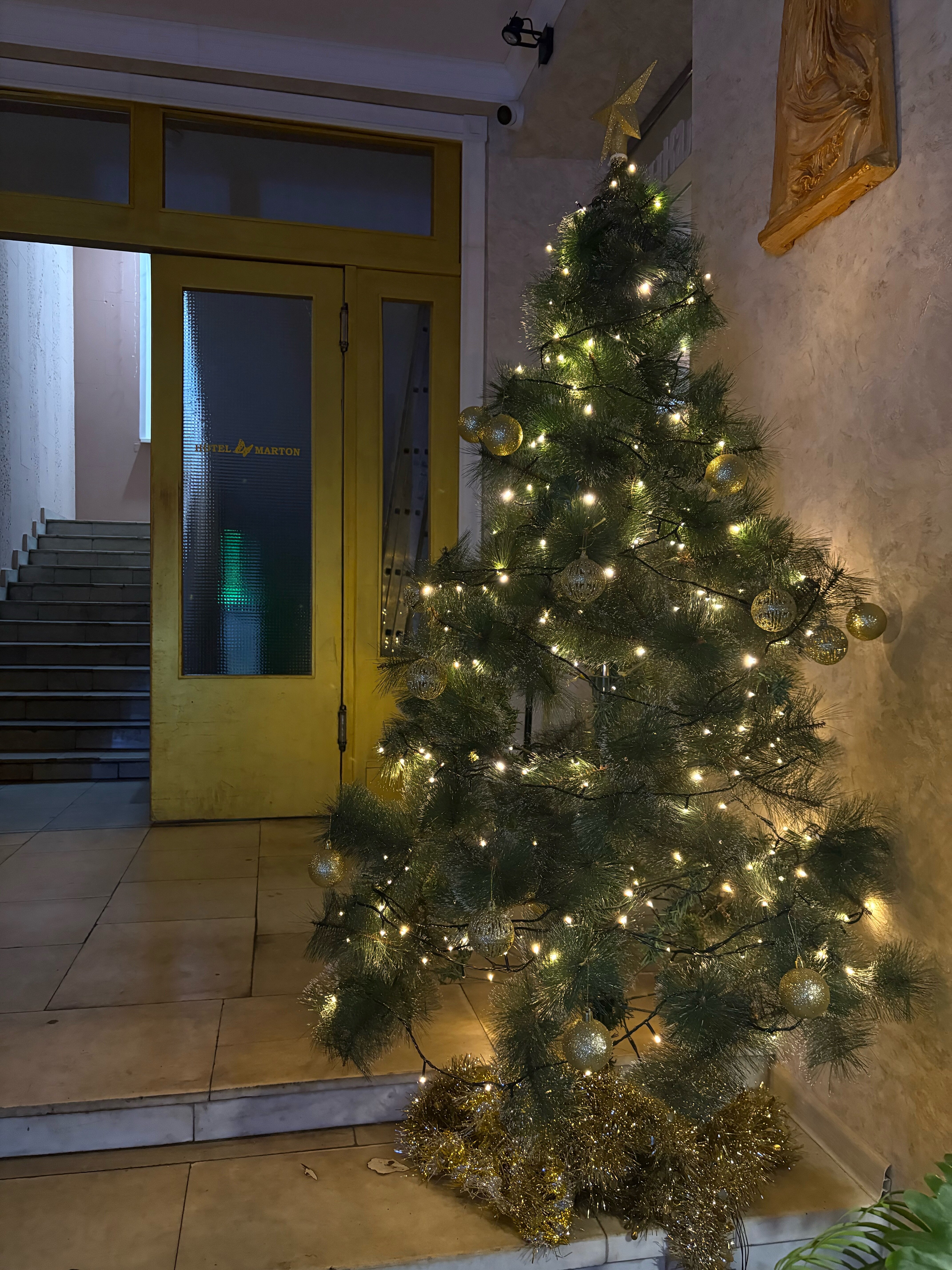 Фото Мартон ВДНХ