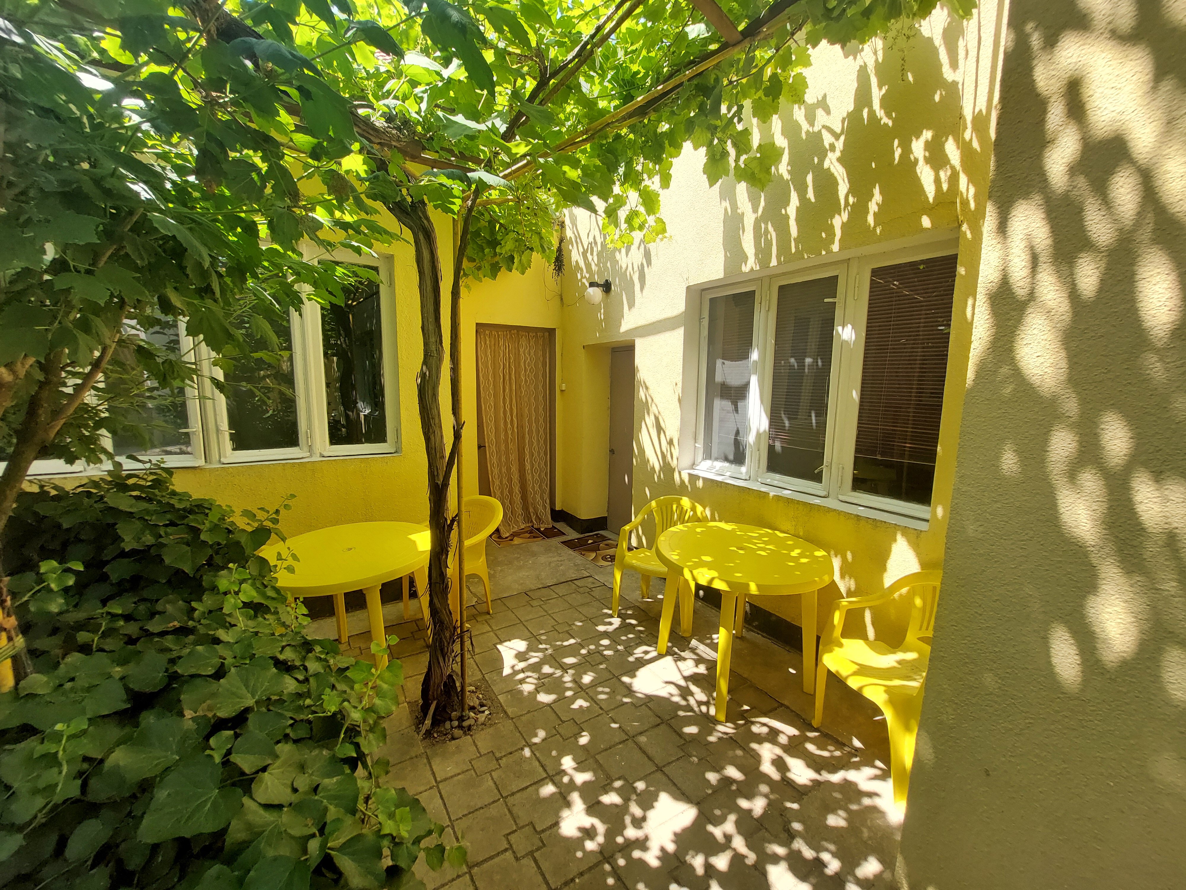 Фото Летний