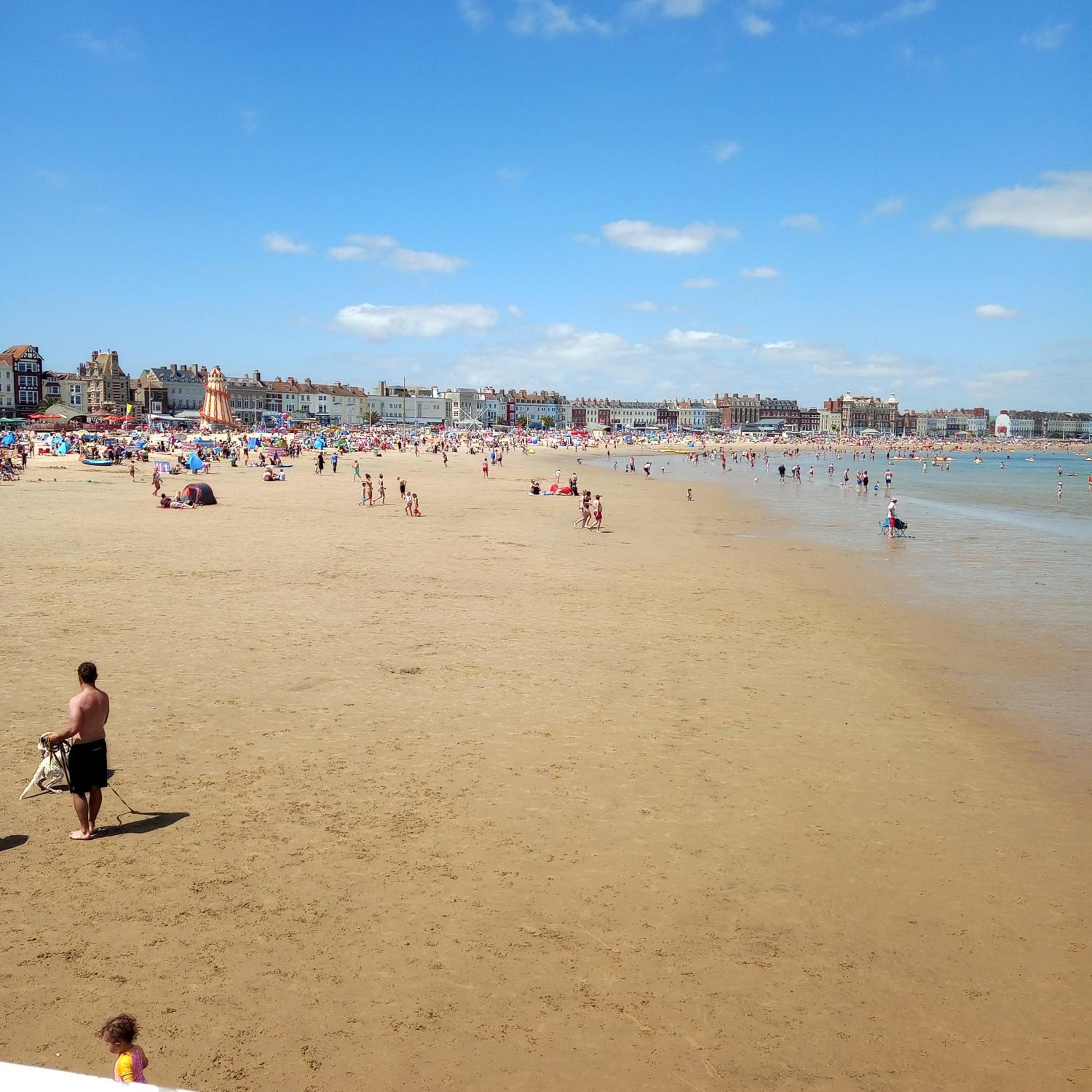 Фото The Wilton Guest House