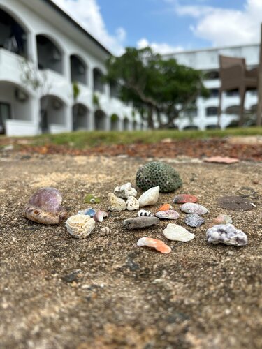 Внешний вид отеля Hotel Lanka Super Corals в Хиккадуве, фото 5