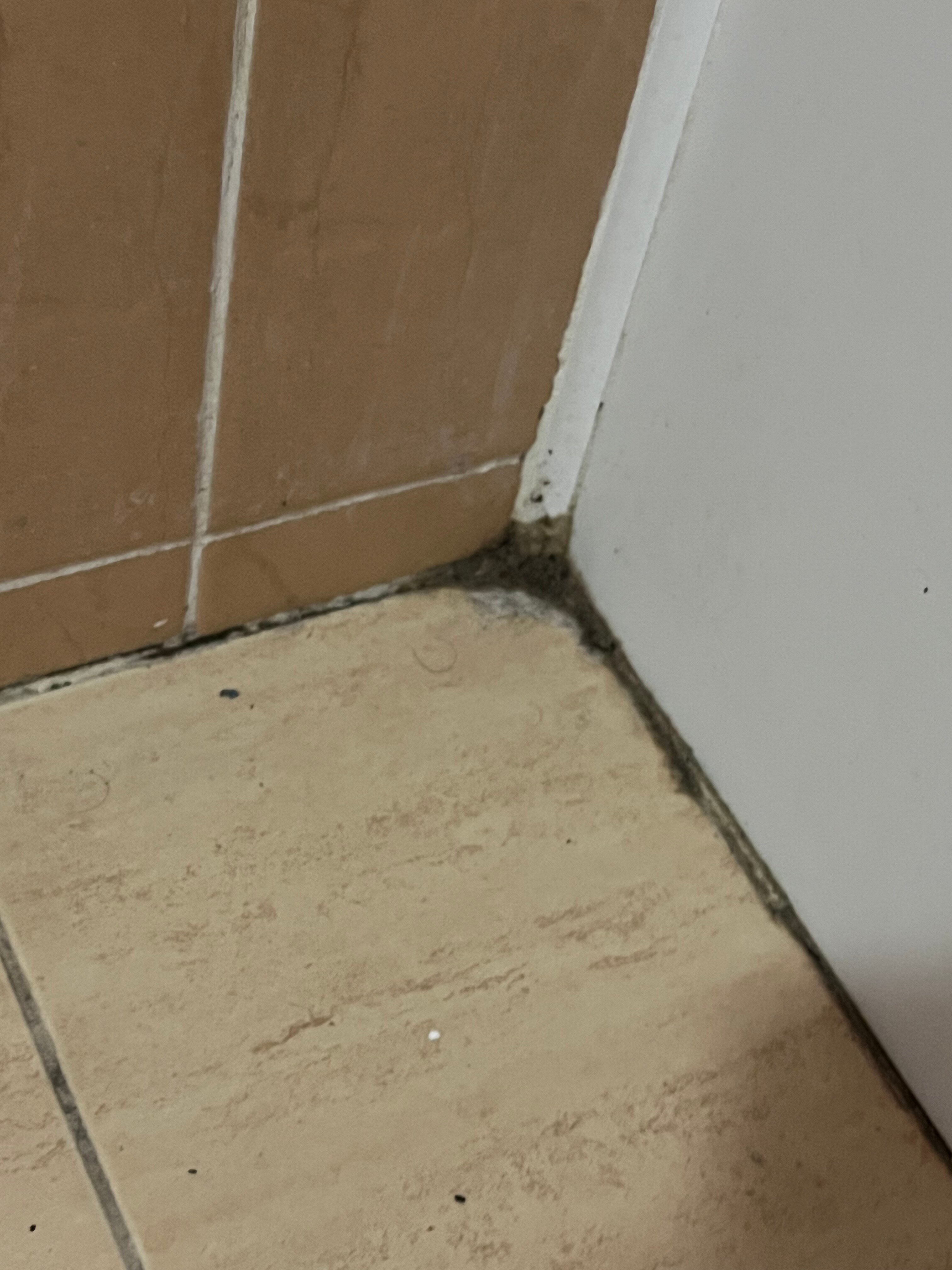 Фото Надежда 2