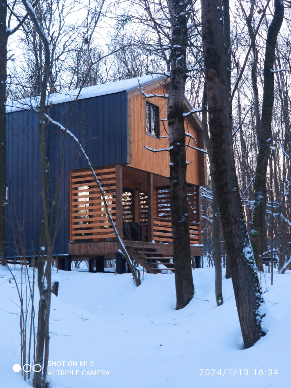 Фото Ореховая роща