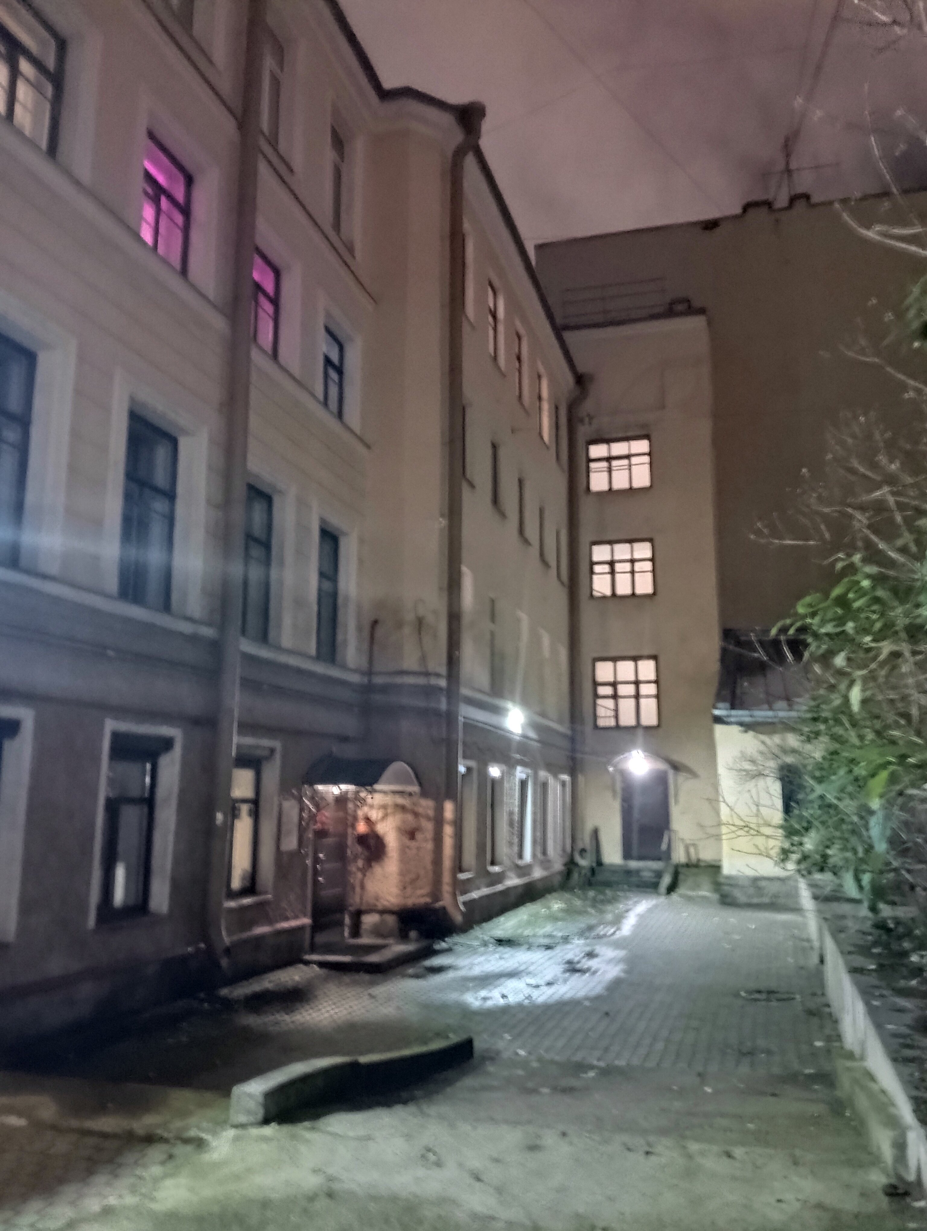 Фото Паллада