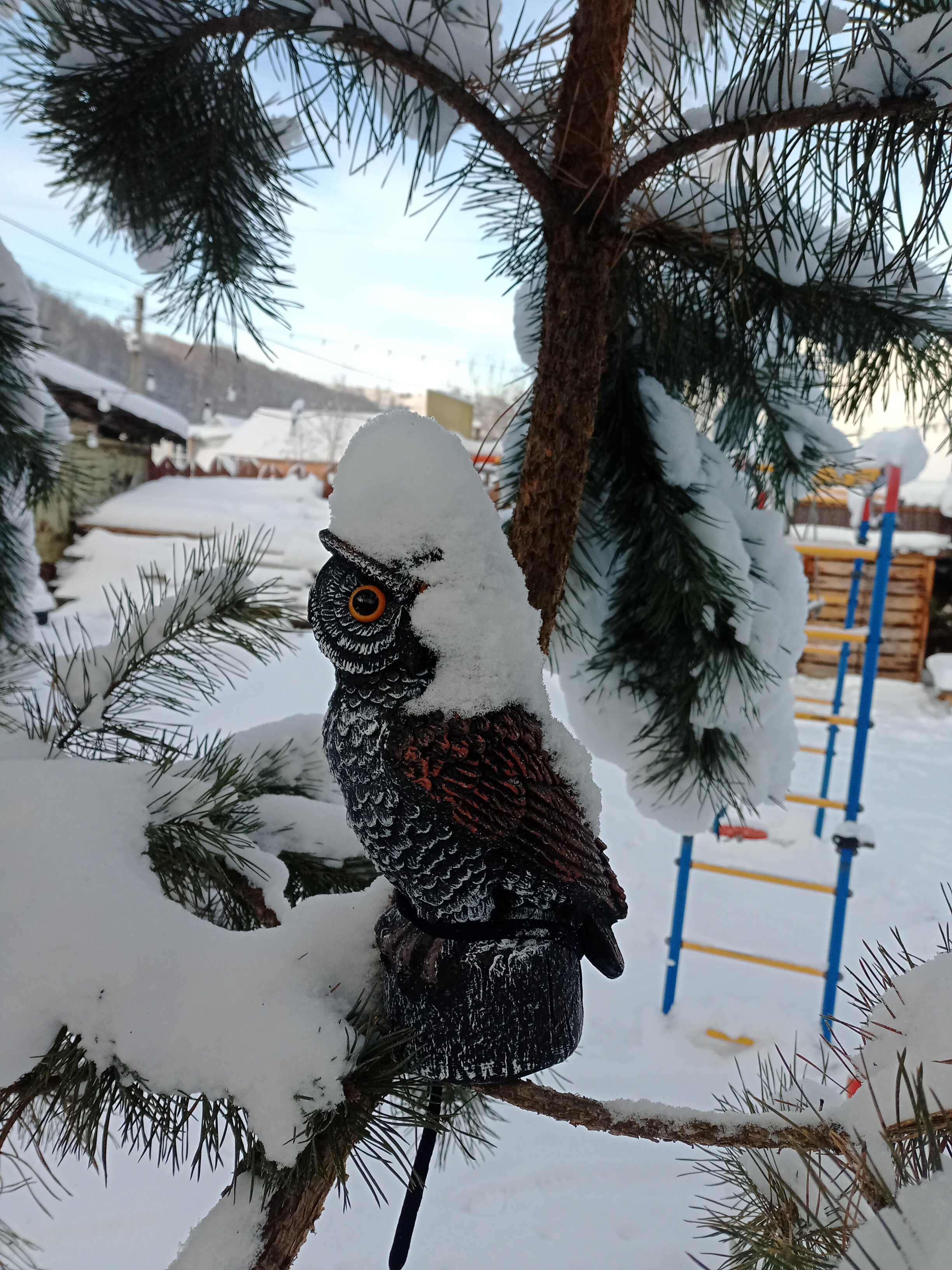 Фото Яшкин Дом