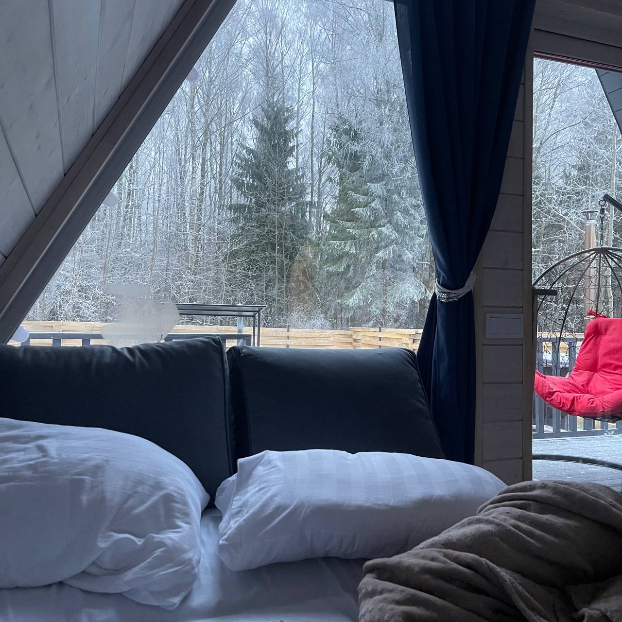 Фото Звёзды леса