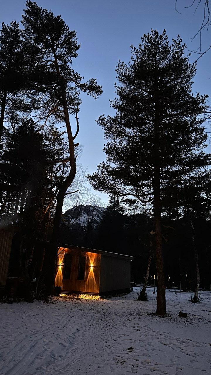 Фото Шишка
