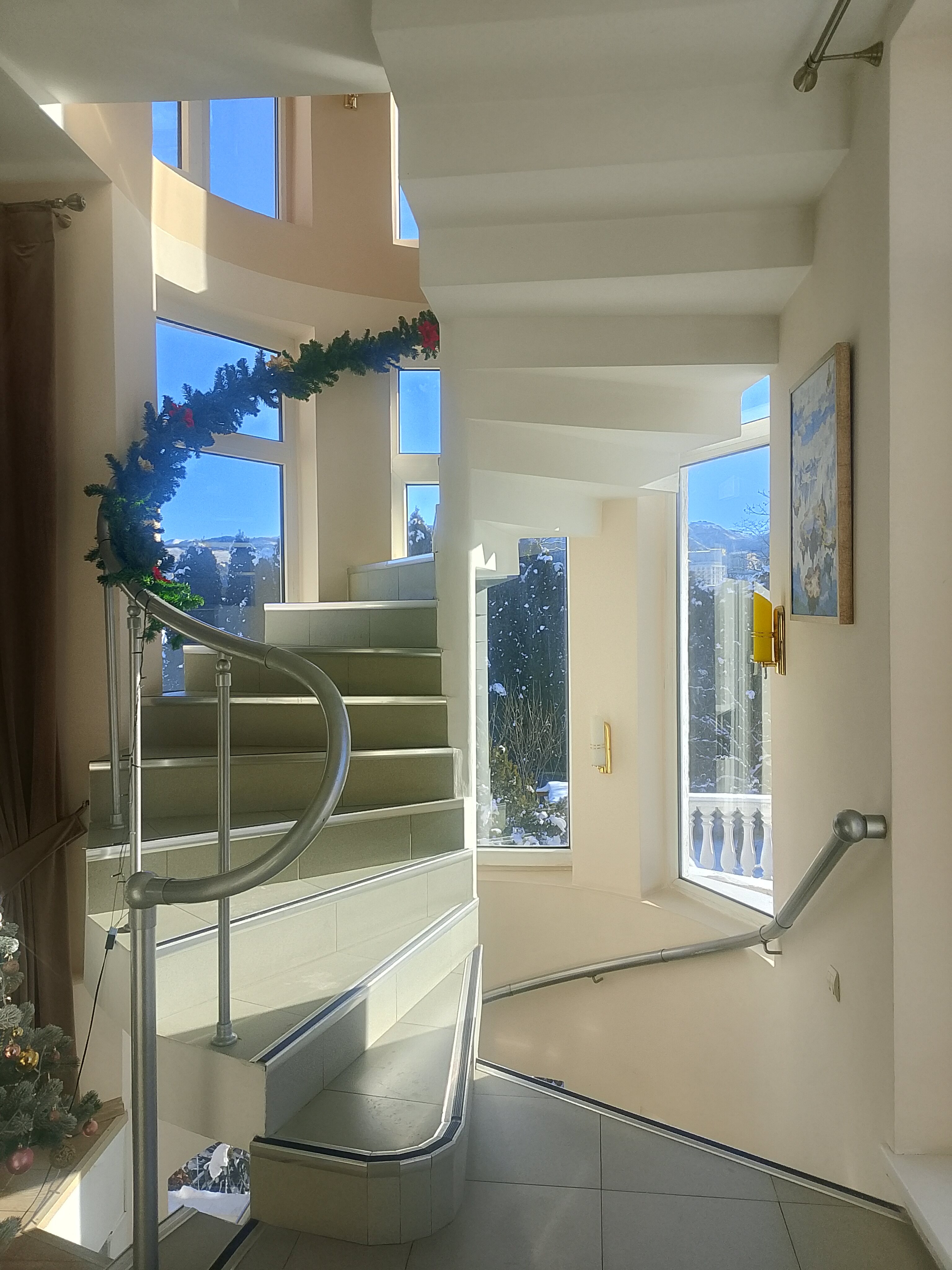 Фото Ласточка