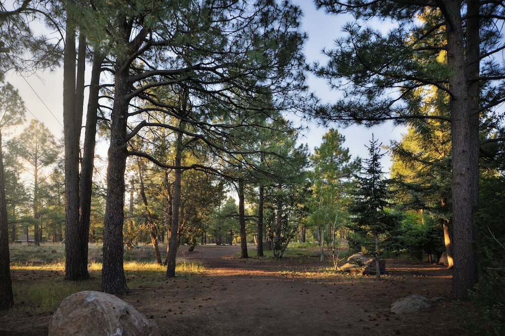 Фото Little America Flagstaff