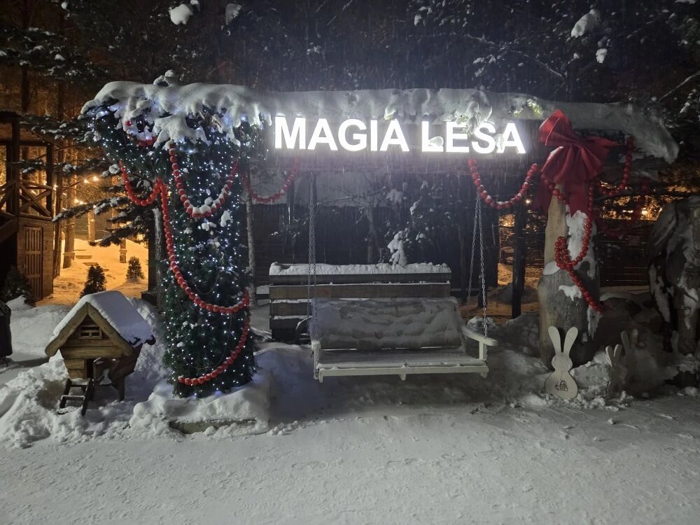 Фото Магия леса