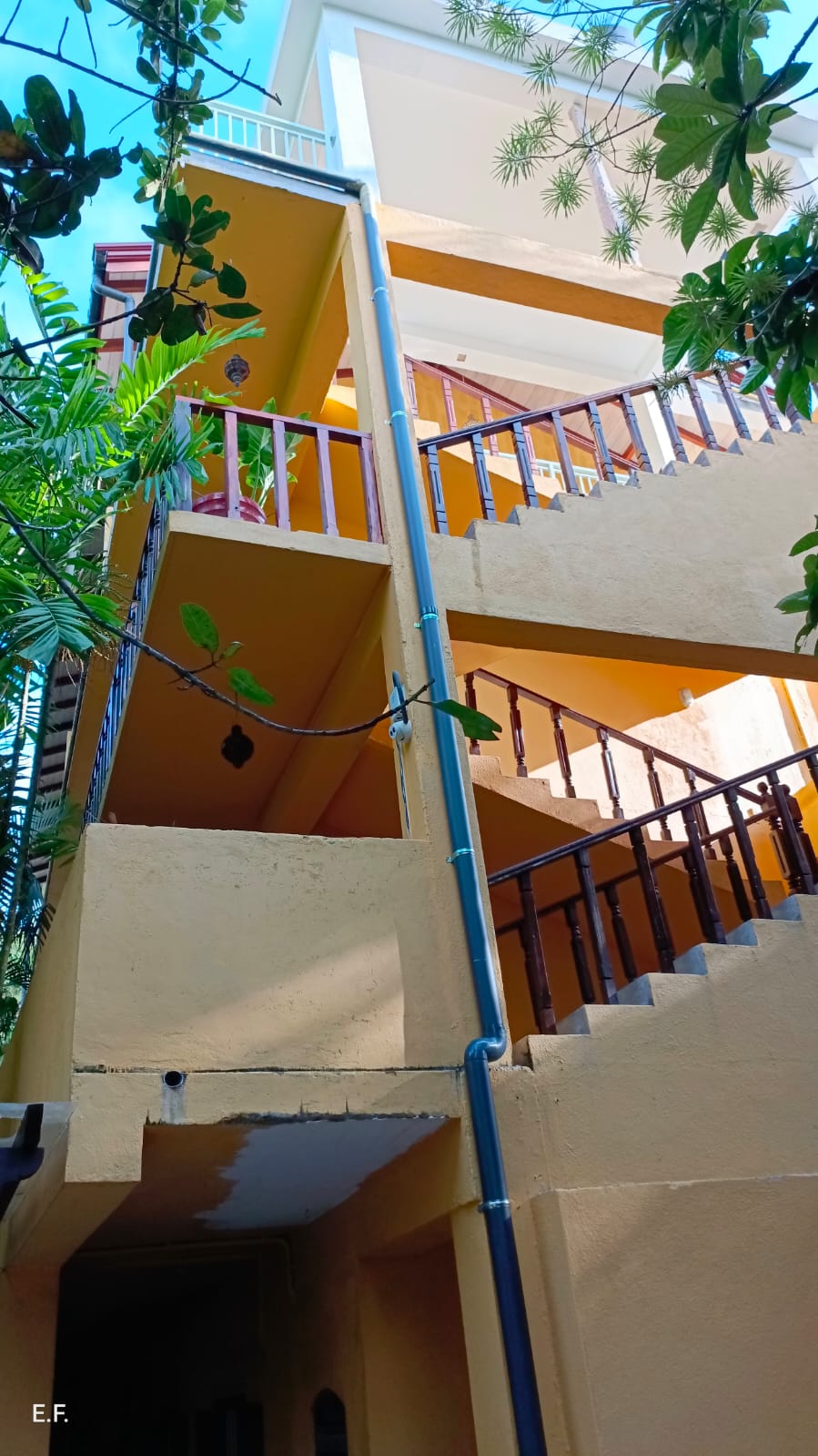 Фото Thambapanni Retreat