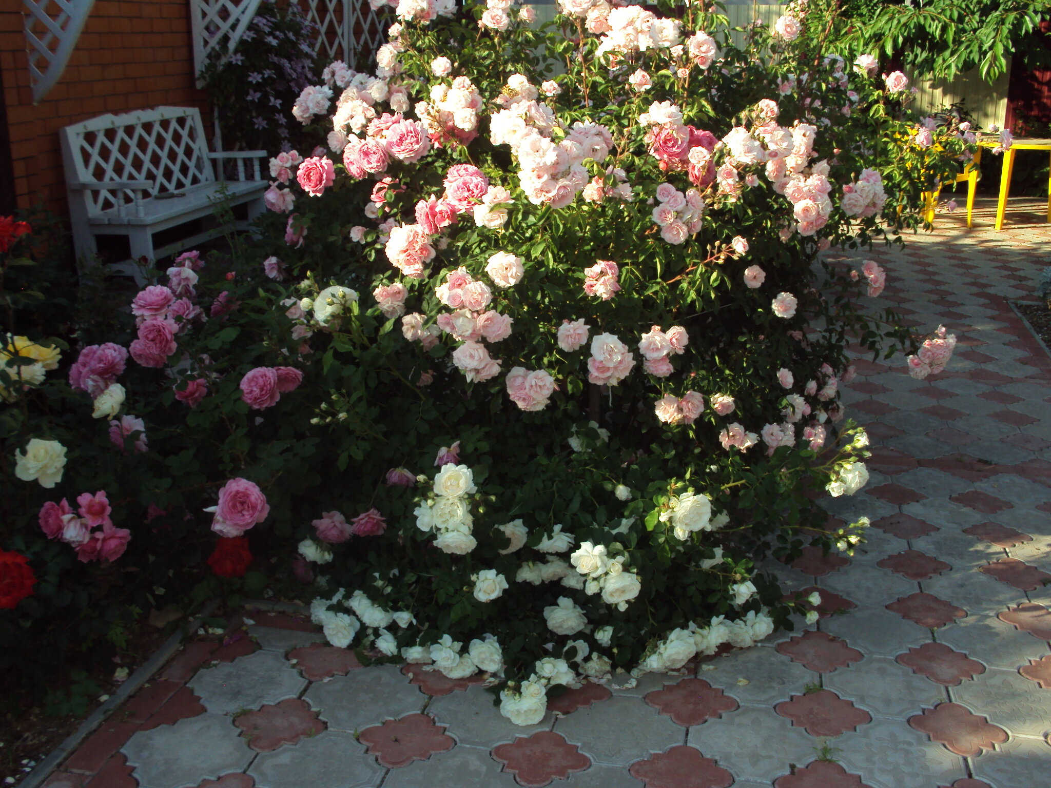 Фото Глория