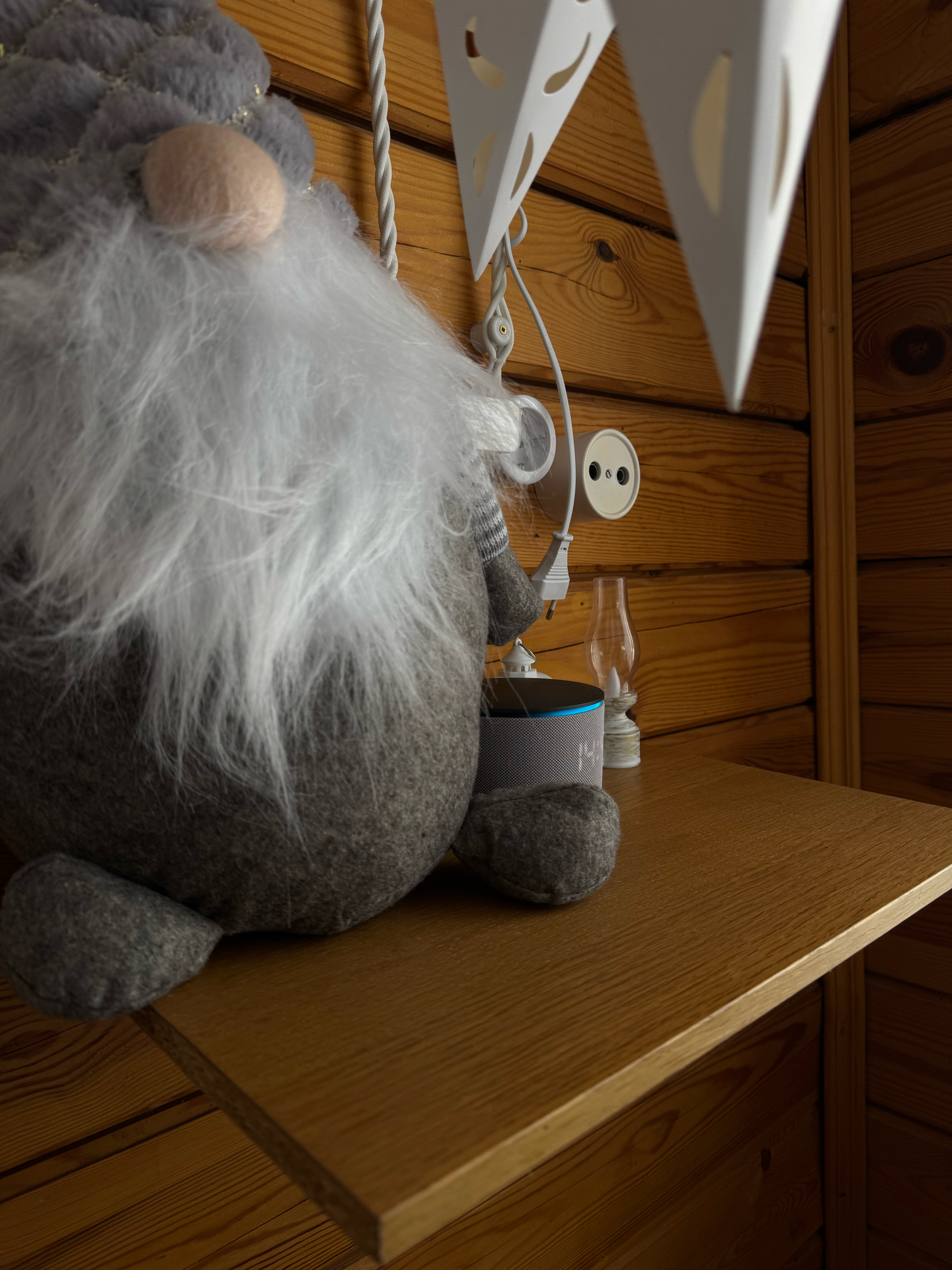 Фото Лаванда