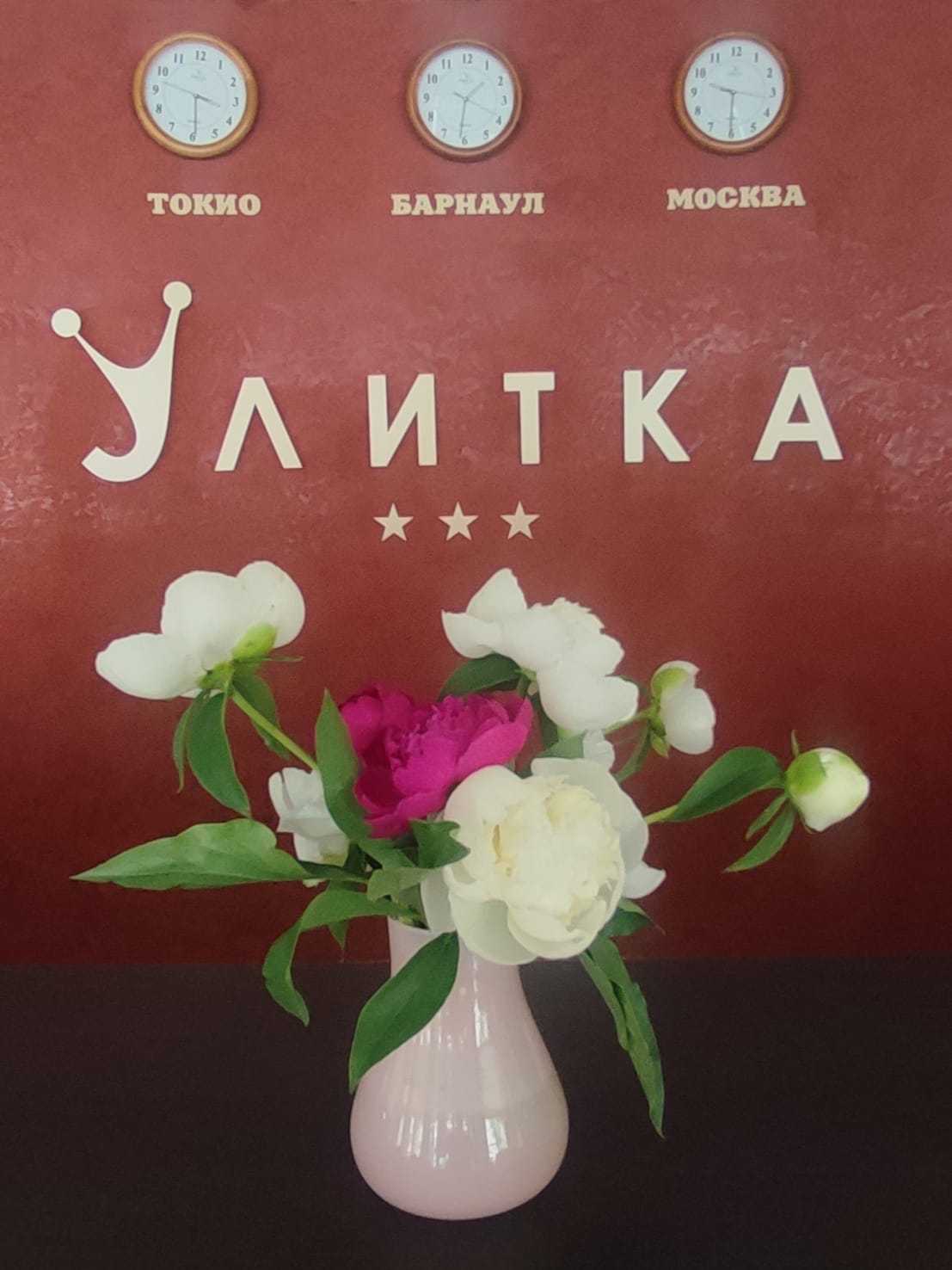 Фото Улитка