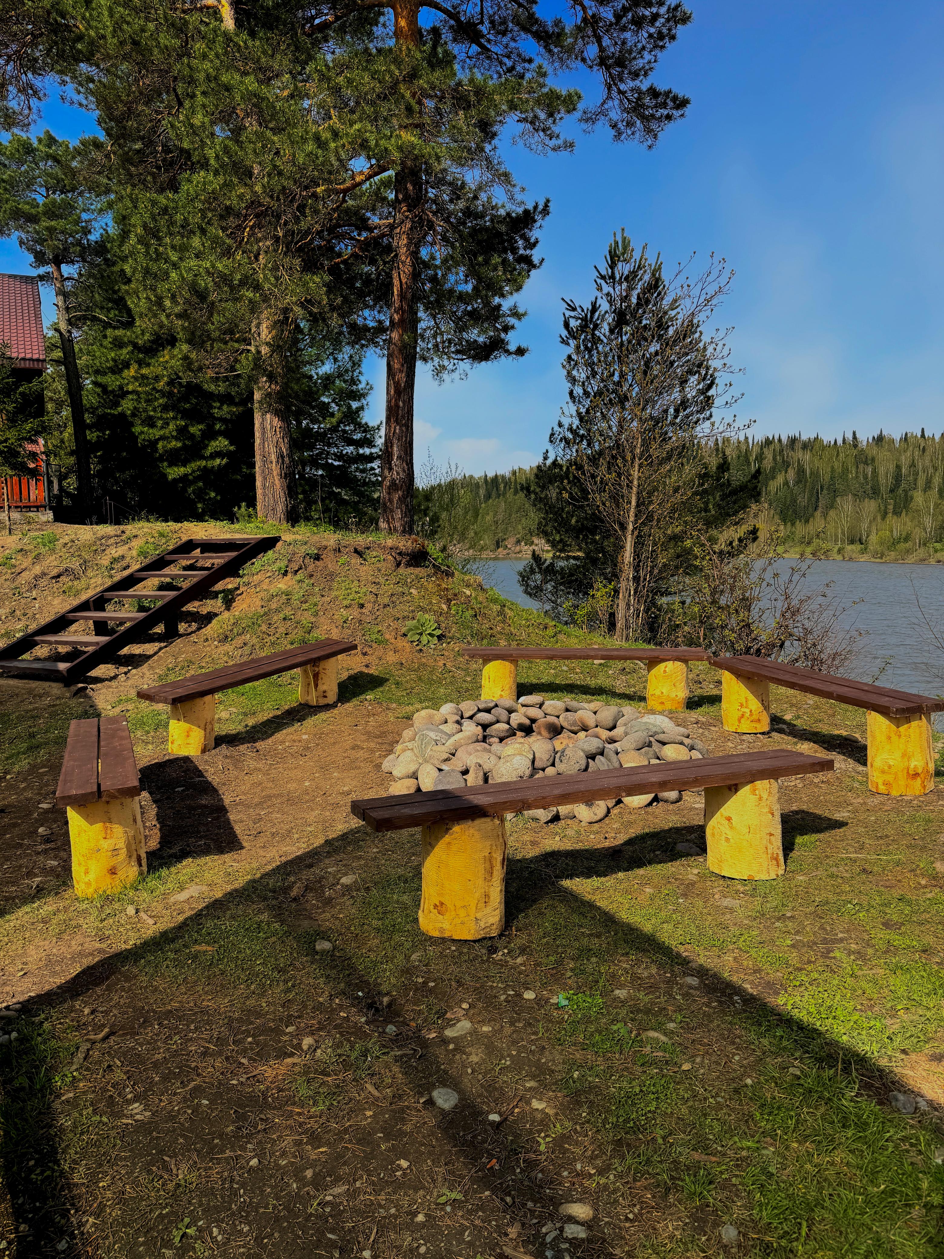 Фото Рыжий кот