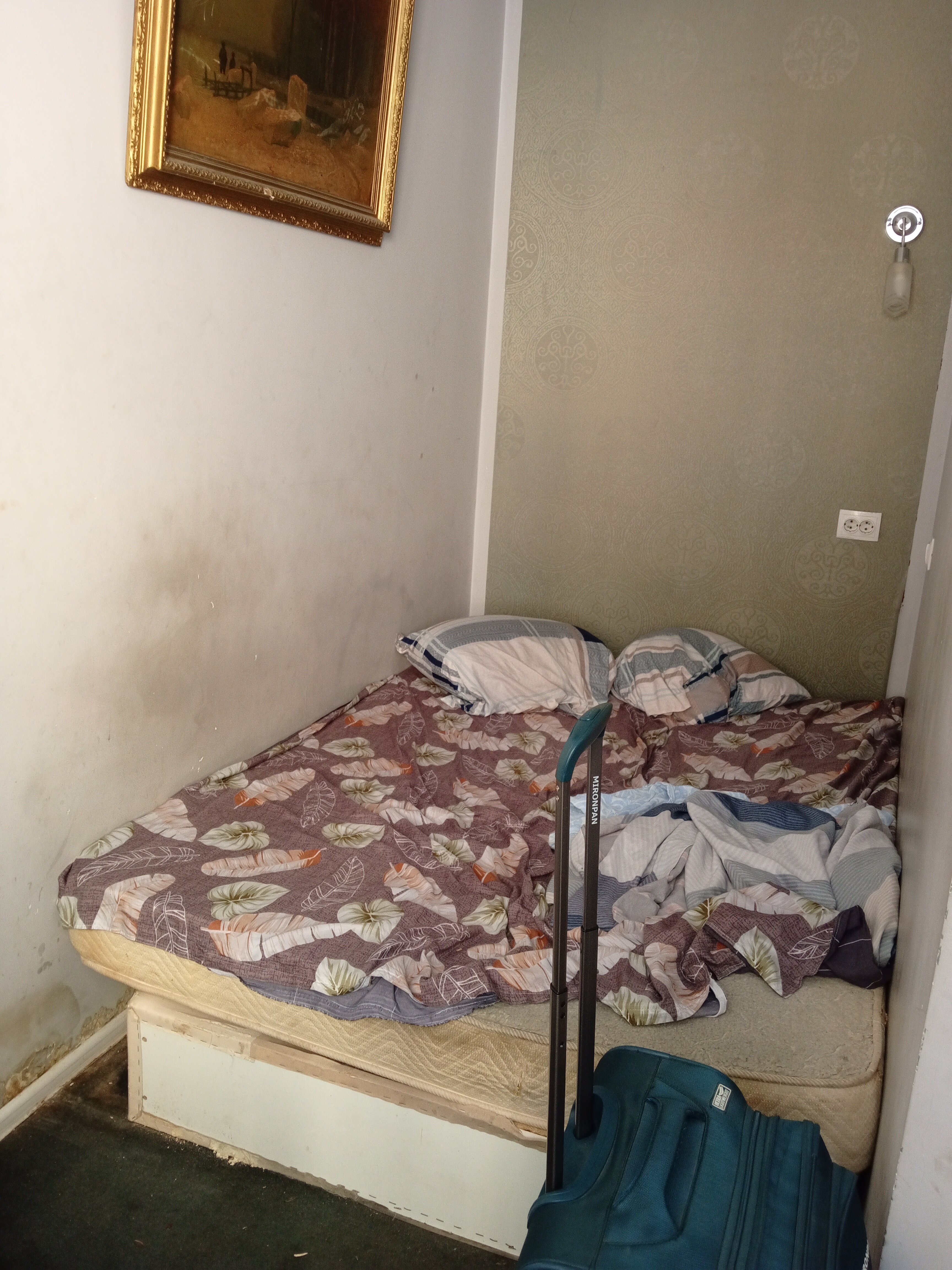 Фото Spbinn Marko