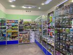 Zooтовары (ulitsa Lopatina, 19), pet shop
