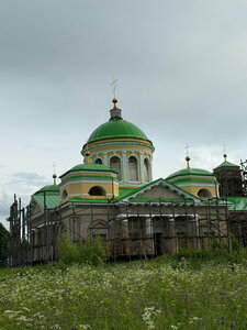 Церковь Троицы Живоначальной (Smolensk Region, Vyazemskiy District, derevnya Fedyayevo (Andreykovskoye selskoye poseleniye)), orthodox church