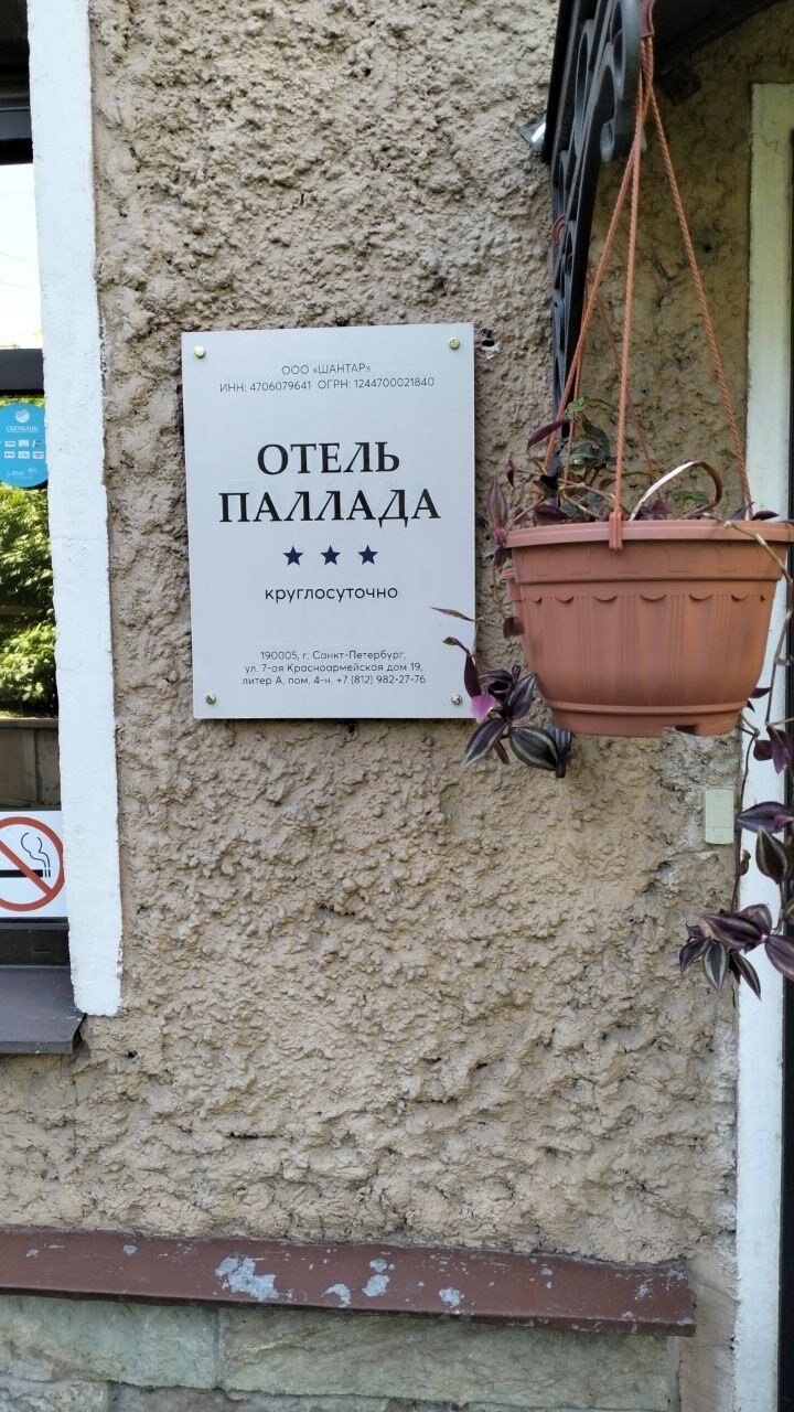 Фото Паллада