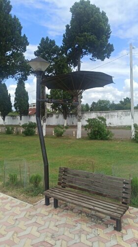 Фото Орхидея