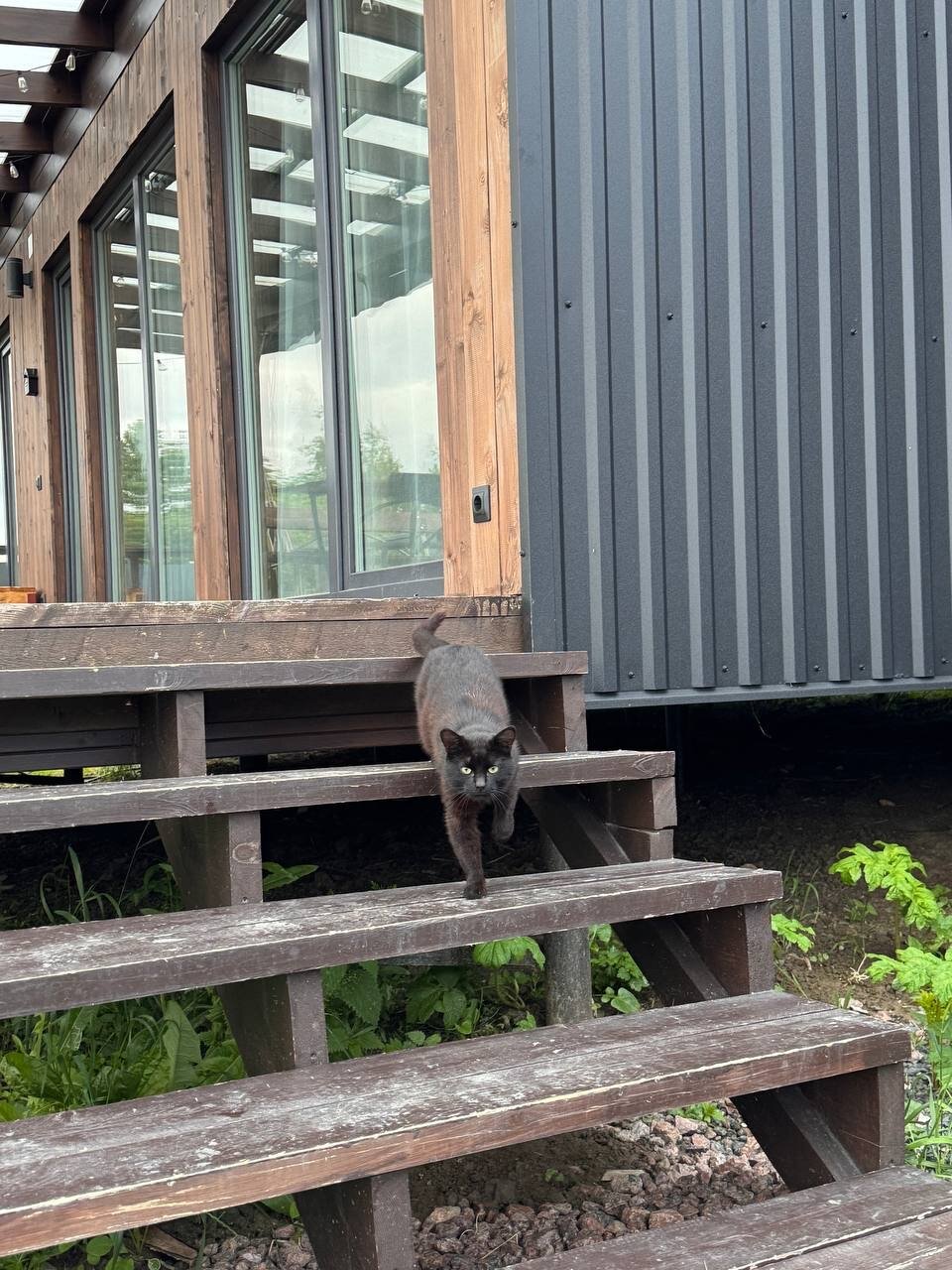 Фото 4 Сезона