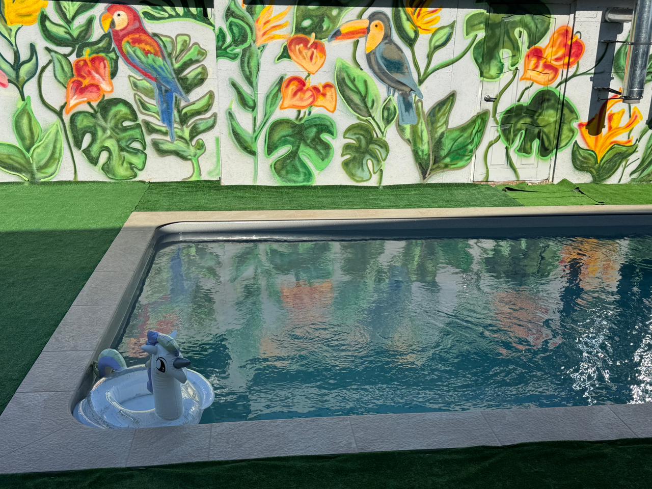 Фото Клевер