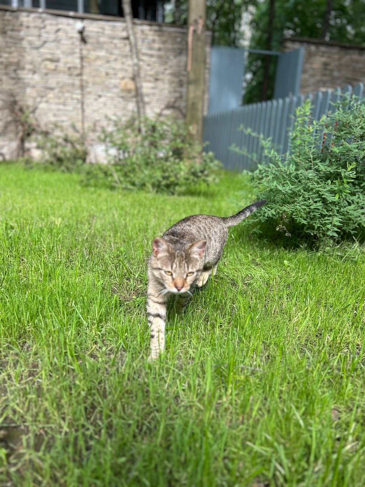 Фото Roka Park Collection