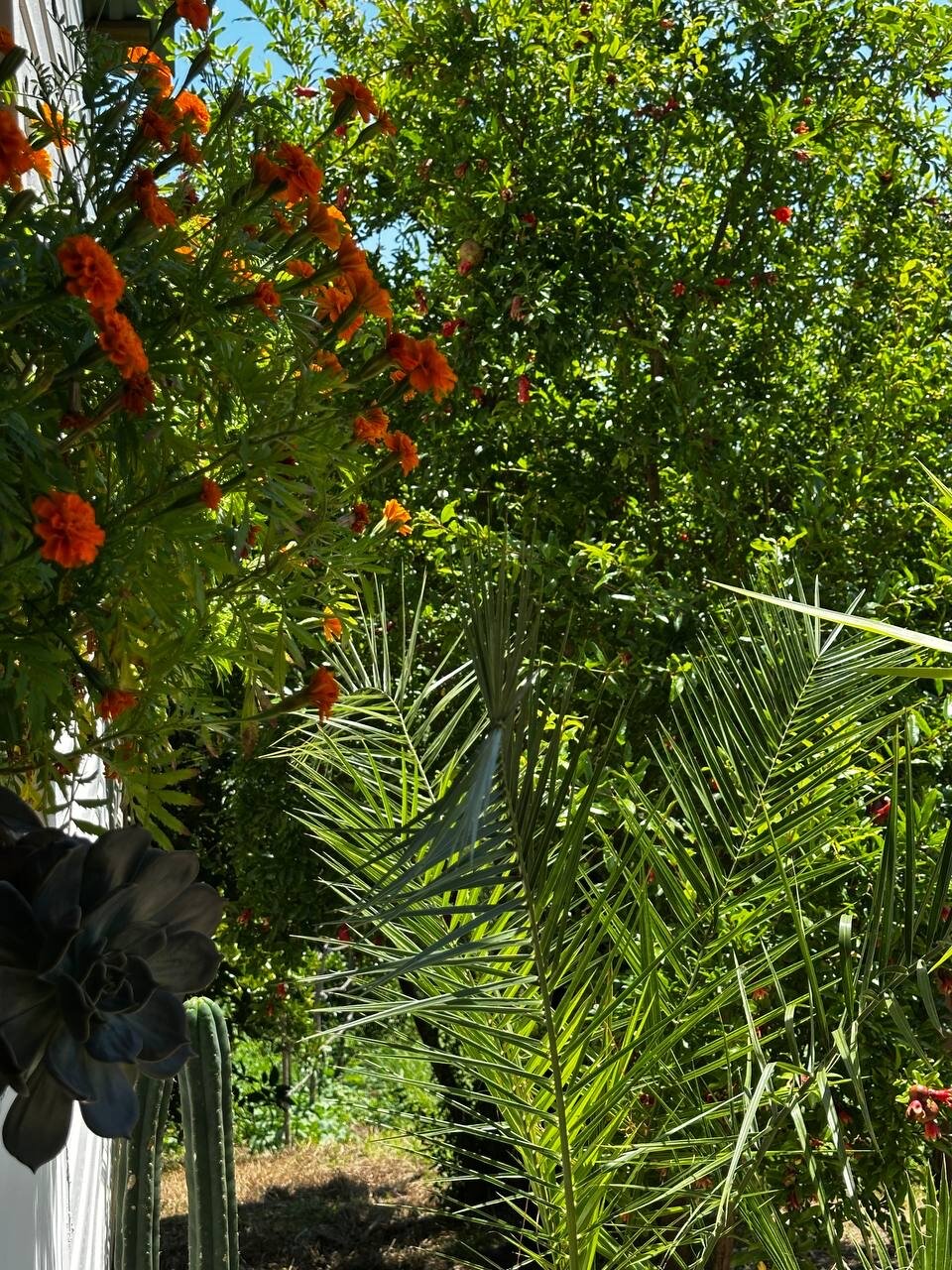 Фото Валентина