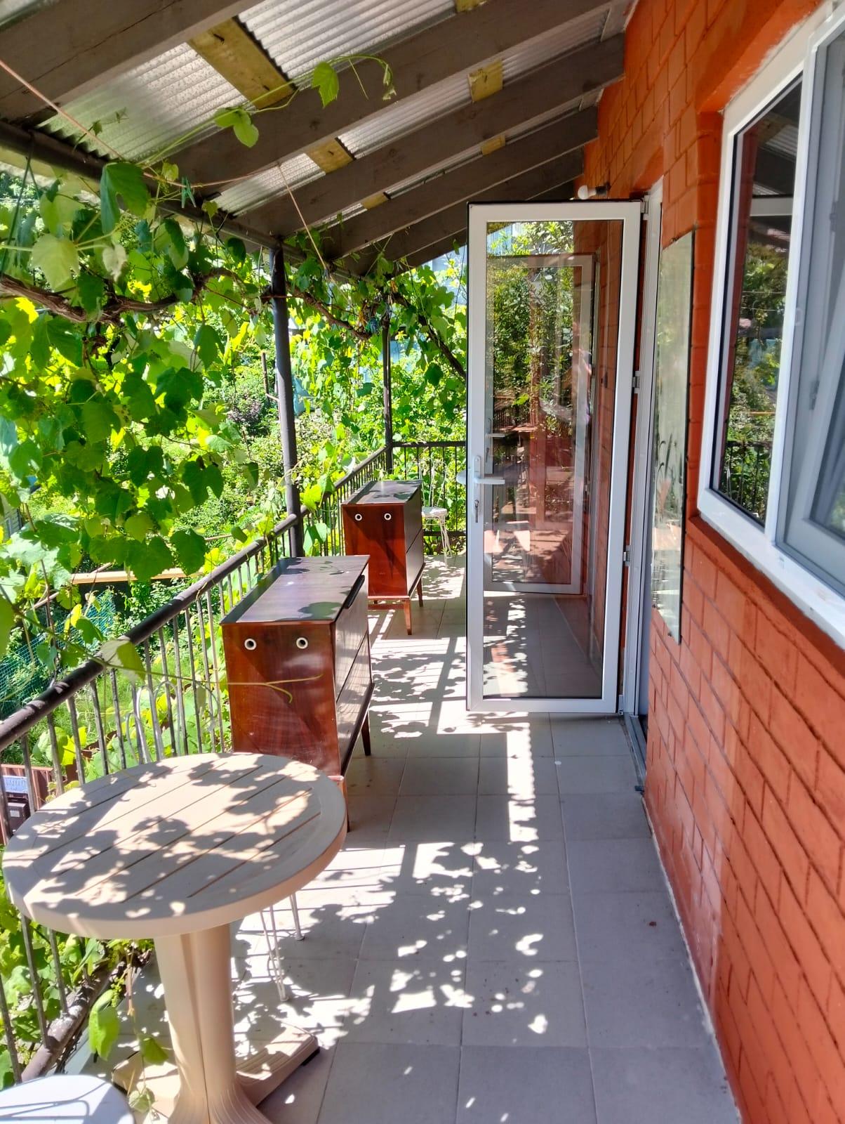 Фото Под пальмой