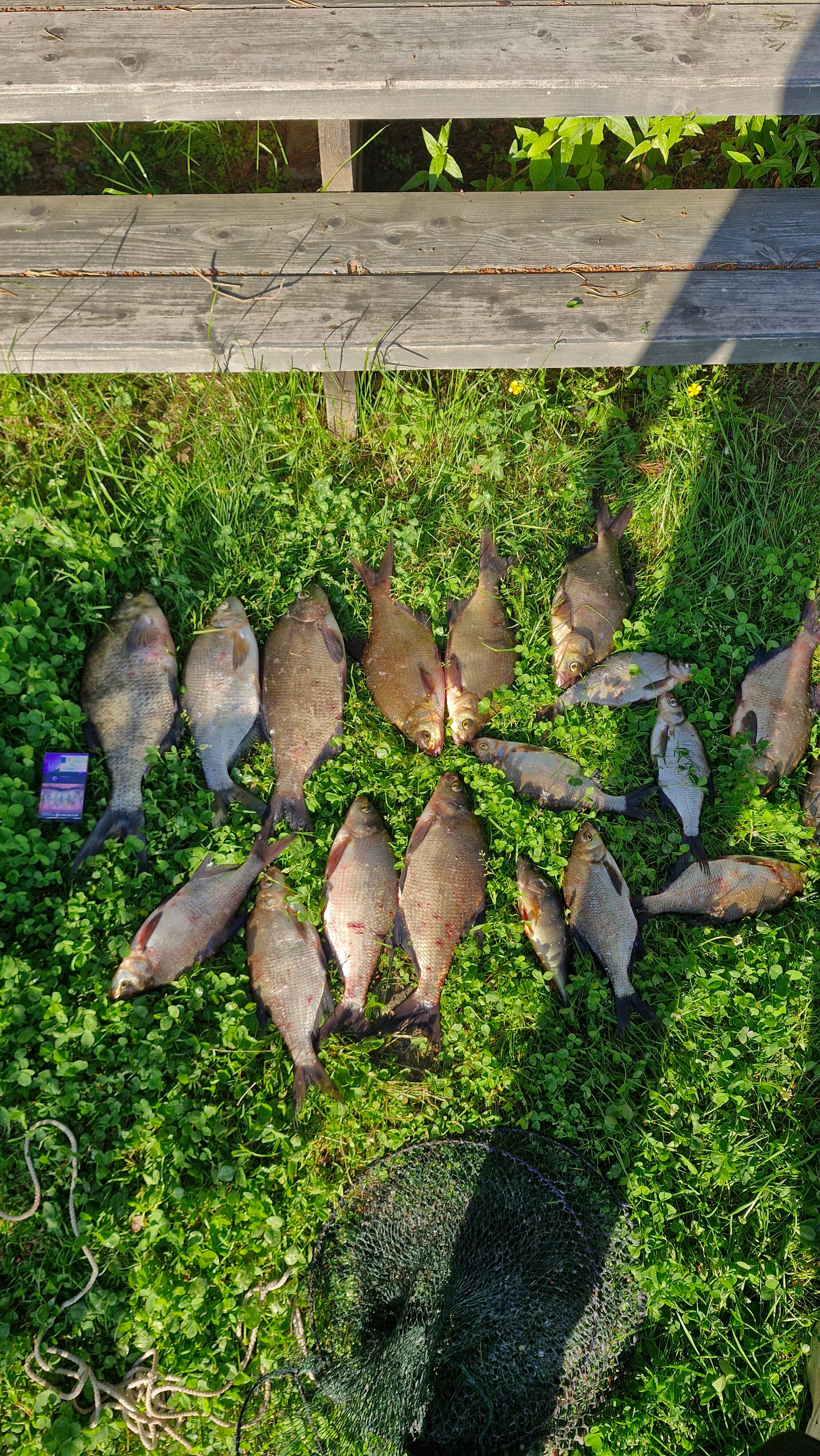 Фото Belka Village