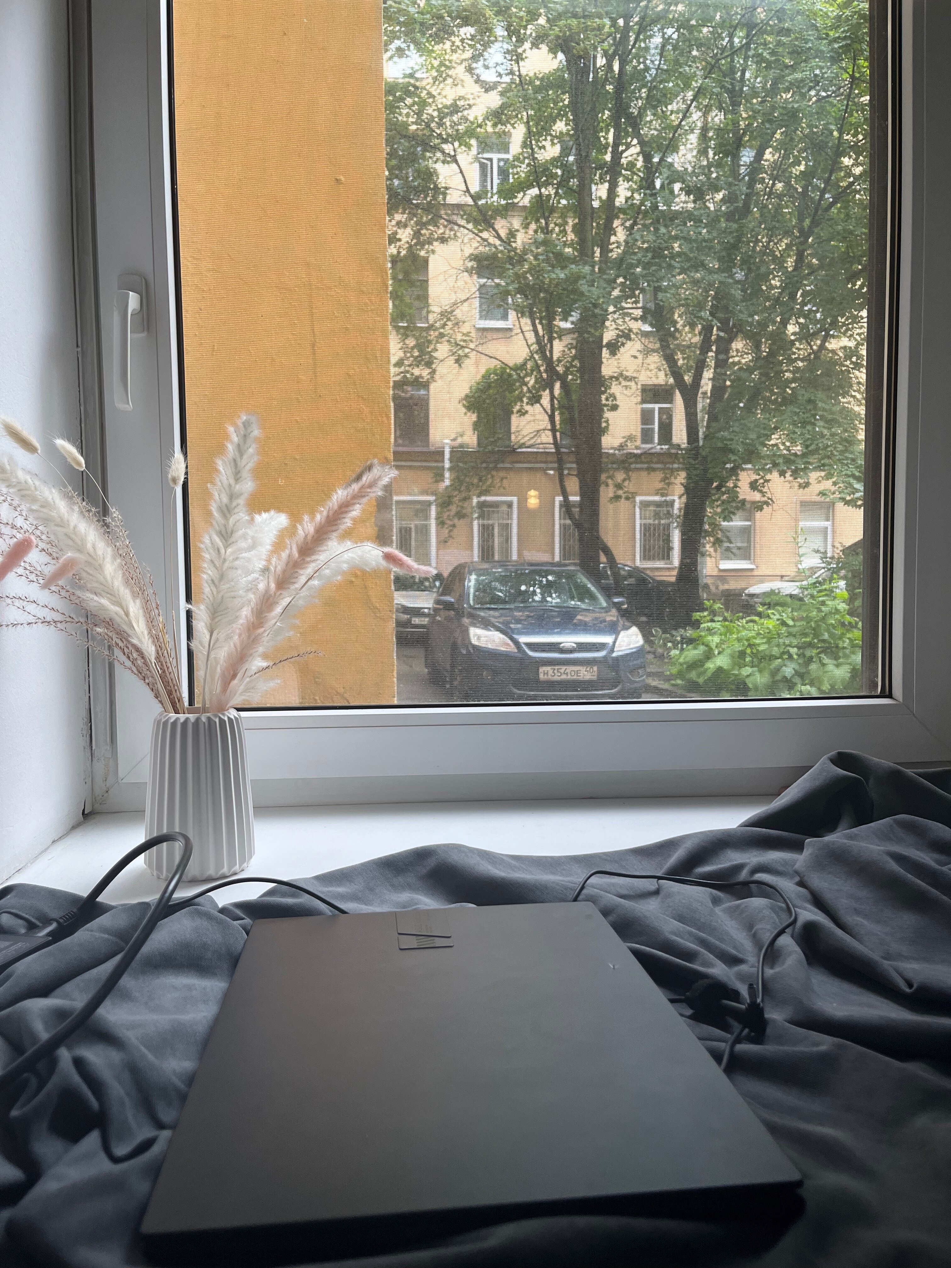 Фото Лидваль