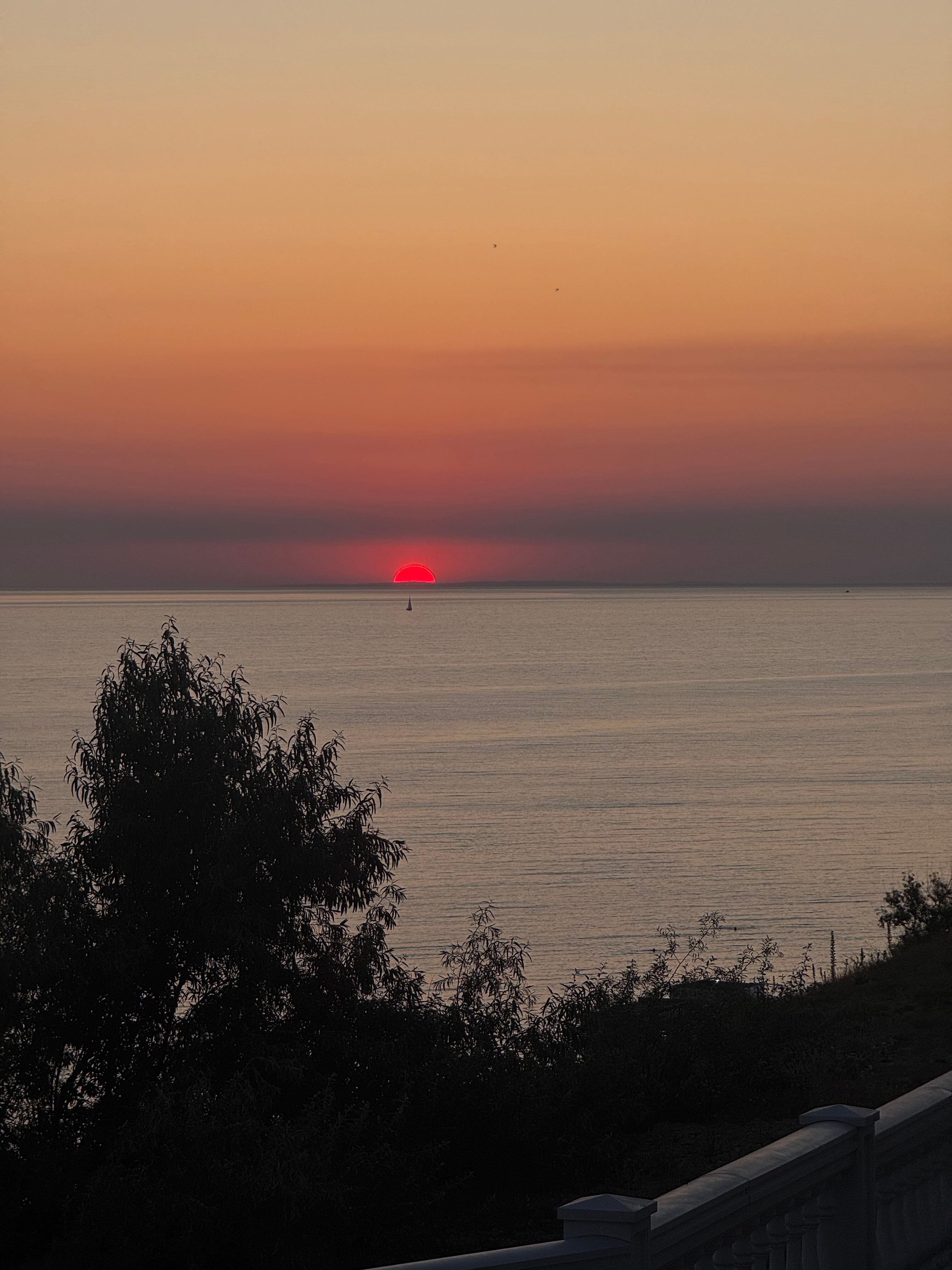 Фото Онегин