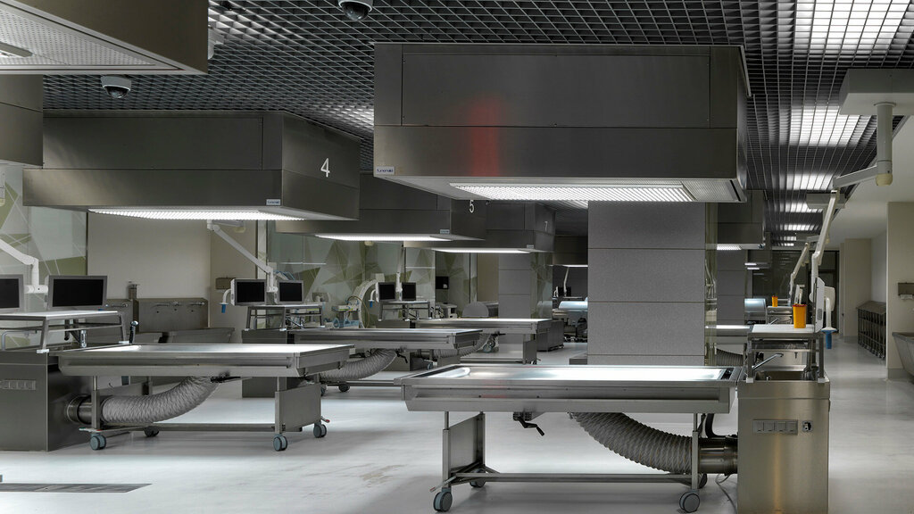 Insurance company Ncorpus Medical Solutions, Istanbul, photo