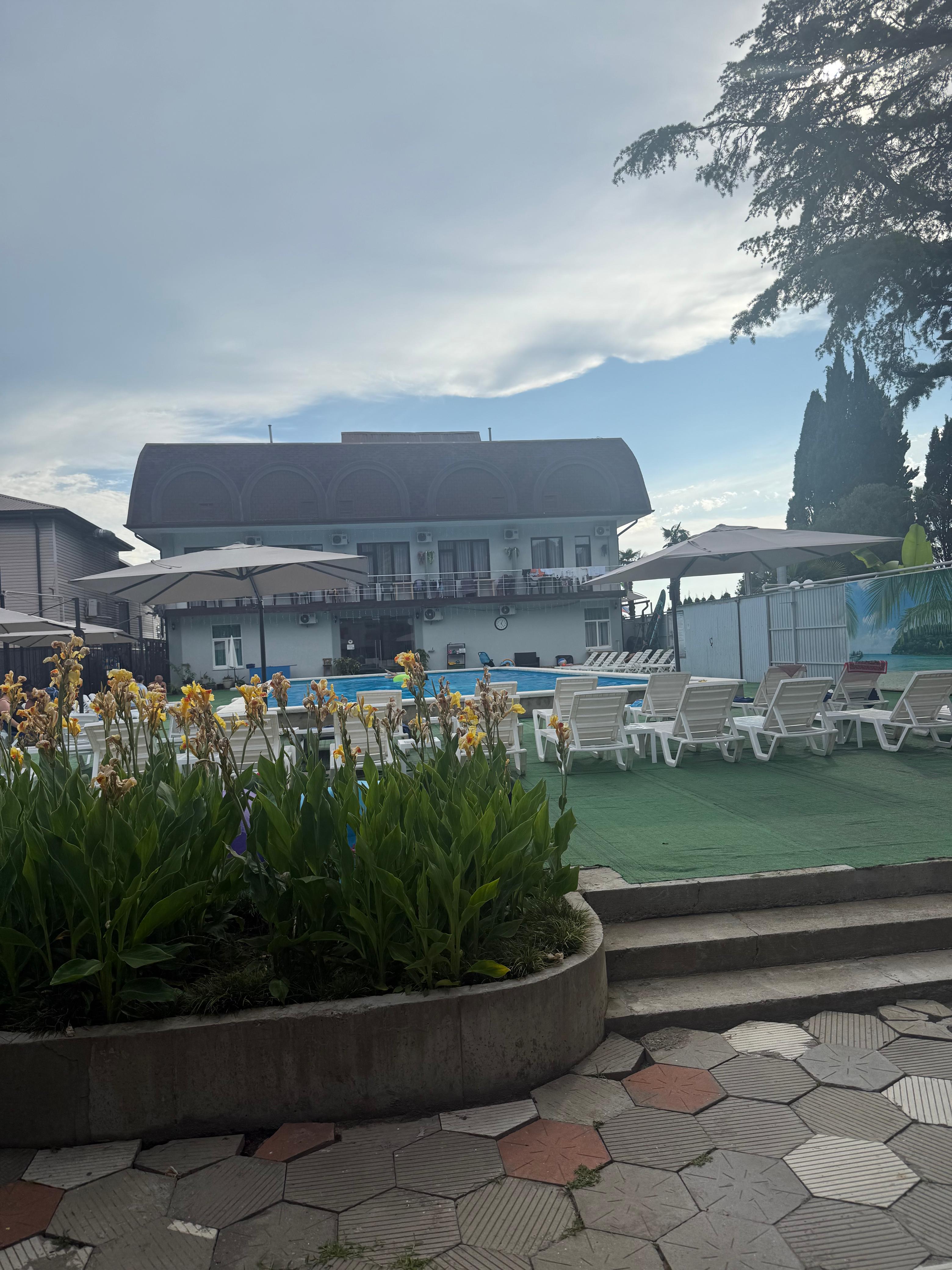 Фото Крылья