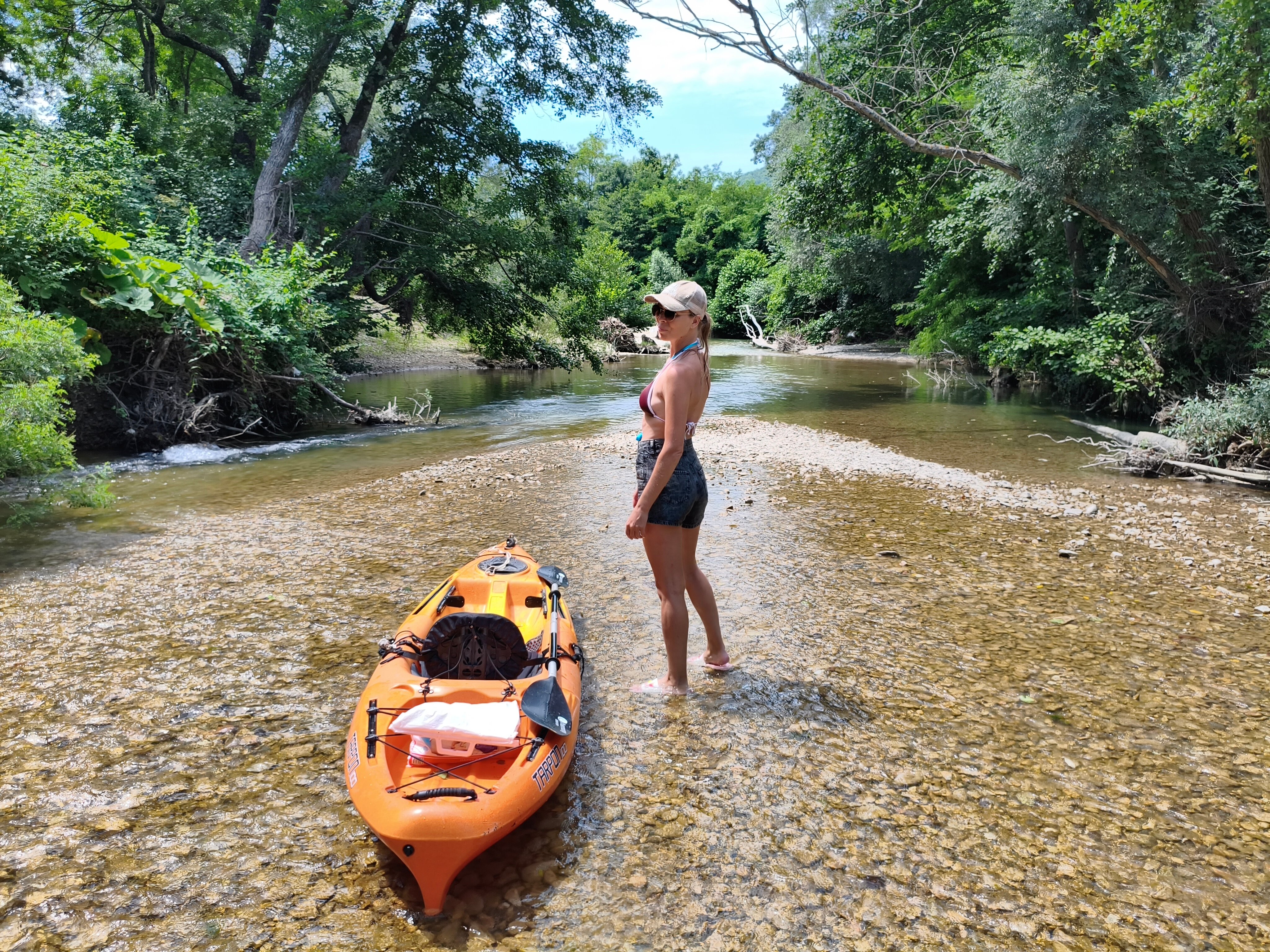Фото Берег леса